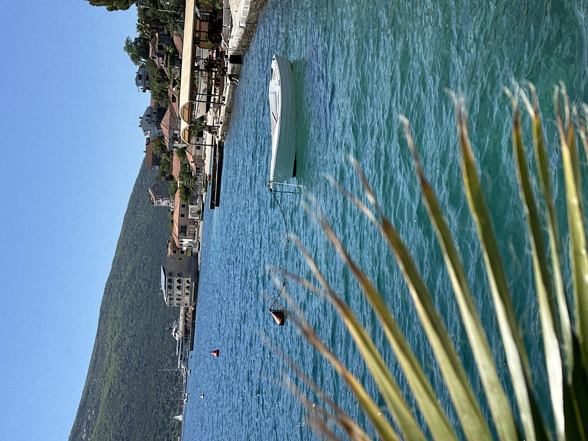 The image presents a vibrant, sunny coastal landscape in Đenovići, Montenegro, viewed from a low angle near the water. The scene is dominated by the clear, blue-green waters of the bay, which gently ripple under the bright daylight. In the immediate foreground on the right, several long, slender green and yellow palm fronds are out of focus, framing the scene and suggesting a tropical or Mediterranean ambiance.
In the midground, a small, white boat, likely a dinghy or rowboat, is moored in the calm water. Its pristine white hull contrasts with the deep blue of the bay. Several red and orange buoys are visible scattered across the water, indicating mooring points or navigational markers.
Along the distant shoreline, a charming coastal village or town unfolds. Numerous buildings with red-tiled roofs are nestled along the waterfront and climb up the gentle slopes, interspersed with lush greenery and trees. Some structures feature arches and balconies, suggesting a mix of residential and possibly commercial or hospitality buildings. A narrow promenade or dock lines the water's edge in front of these structures.
Behind the settlement, a large, verdant mountain covered in dense green foliage rises majestically against the bright, cloudless blue sky, forming a dramatic natural backdrop. The overall impression is one of tranquility and beauty on a clear, warm day. No people or visible text are present in the image.