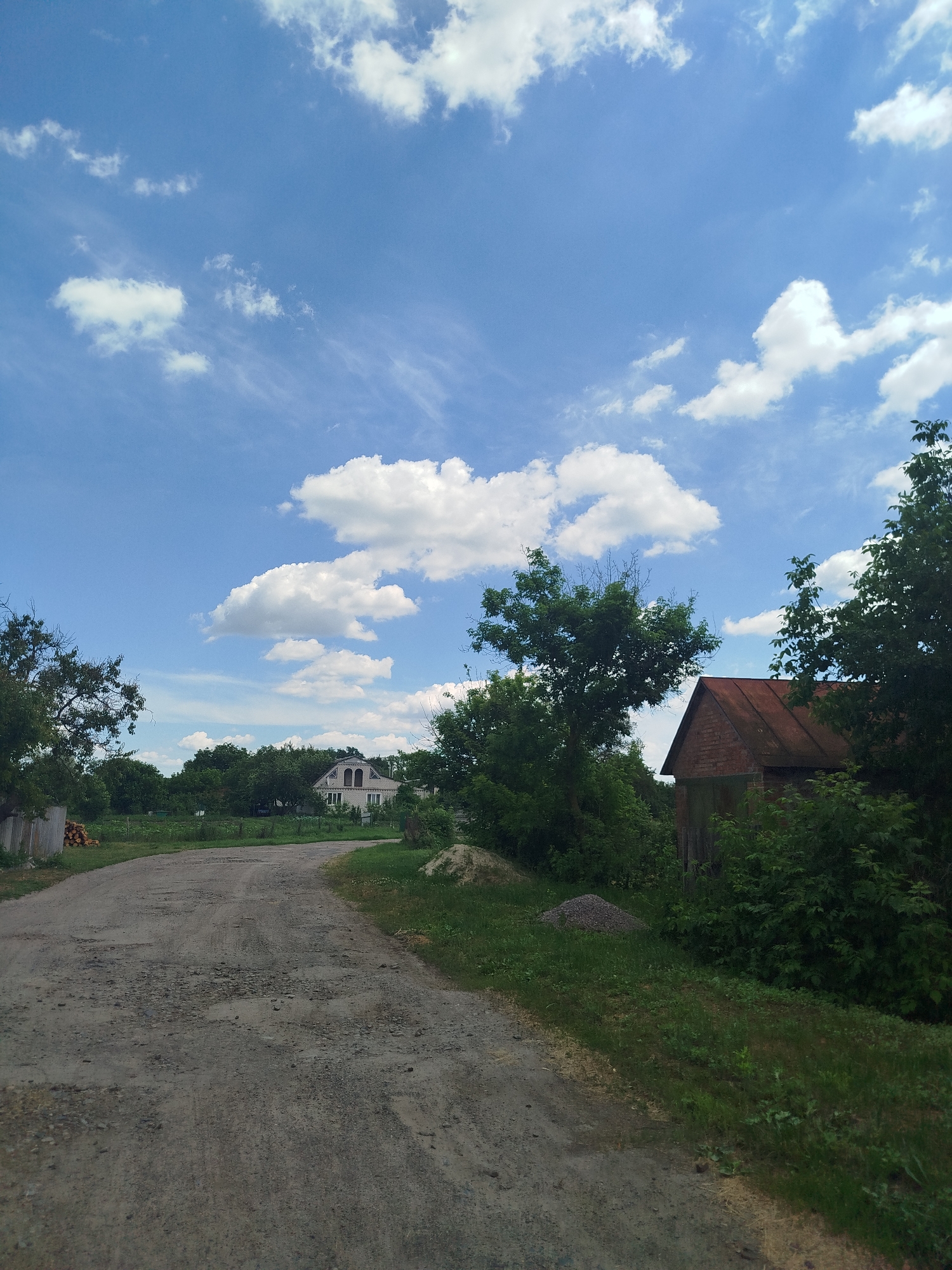 The image depicts a rural scene in Ustyvytsia, Ukraine, under a bright blue sky with scattered white clouds. A dirt road, appearing to be in disrepair with visible potholes, leads into the distance. On the right side of the road, a rustic, reddish-brown wooden outbuilding with a corrugated metal roof is partially obscured by lush green foliage. Further down the road, a light-colored, two-story house with arched windows is visible, surrounded by trees. To the left of the road, a weathered wooden fence stands next to a pile of cut logs. The environment is characterized by dense green trees and vegetation lining both sides of the road.