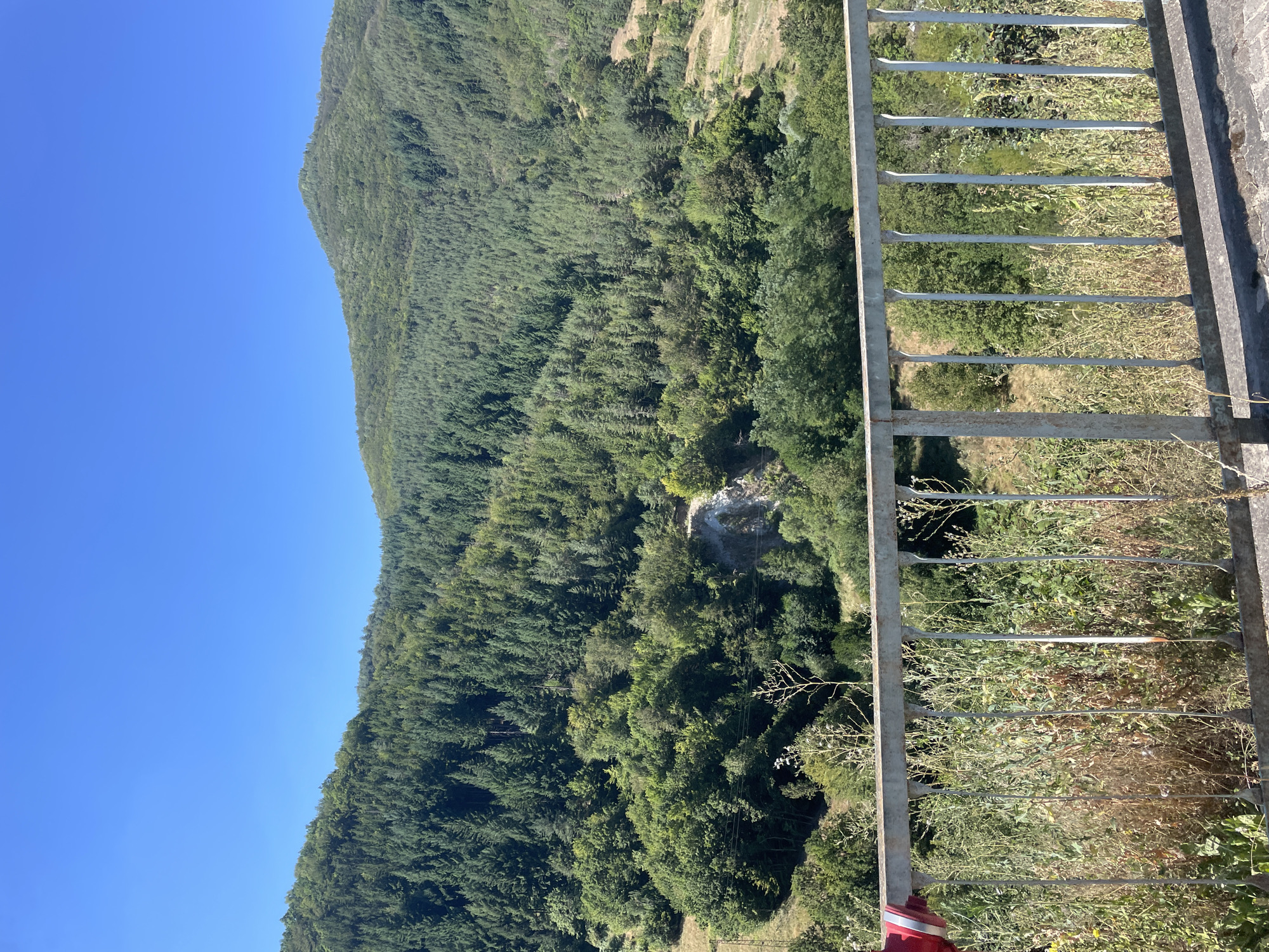 The image shows a dense, green forest covering rolling hills under a clear blue sky. In the foreground, a metal railing separates the viewer from the lush vegetation. A section of red object is visible on the left edge of the railing, partially obscuring the view. The forest appears to be a mix of deciduous and coniferous trees, with the terrain sloping downwards from the distant peaks. The scene suggests a natural, undeveloped landscape, possibly a scenic overlook. No specific landmarks or buildings are visible, making it difficult to pinpoint the exact location within Oryahovets, Bulgaria, without further context.