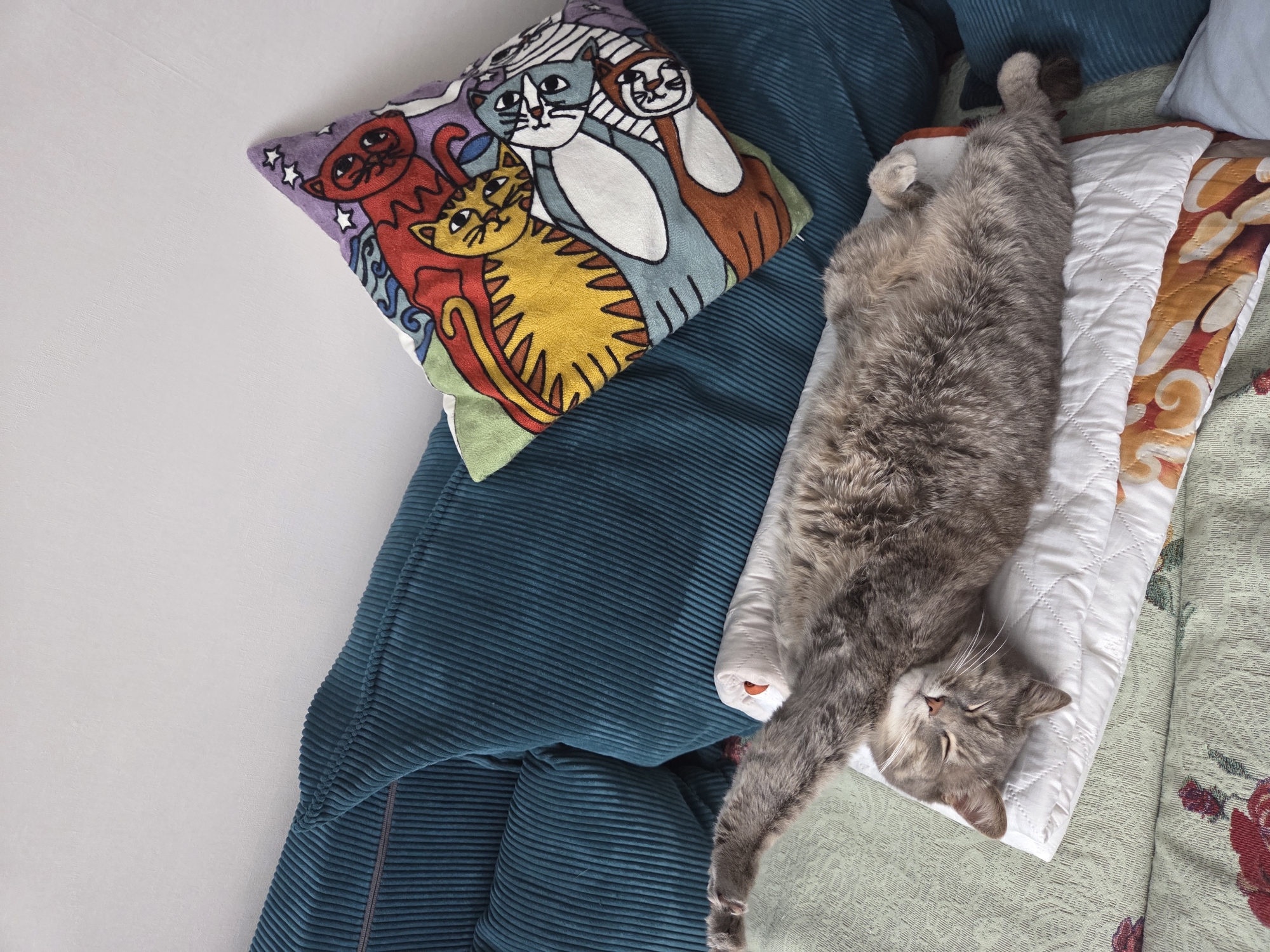 A gray cat is lying on its back, stretched out on a bed or couch. The cat is mostly centered in the image, with its head near the bottom and its tail near the top. The cat's paws are extended, and its eyes are closed. A colorful pillow with cat designs rests to the left of the cat, on a blue corduroy fabric. The bed/couch also has a white, quilted pillow with a floral patterned edge. The background is a white wall. The location in the city of Birobidzhan, Russia is not evident in the image.
