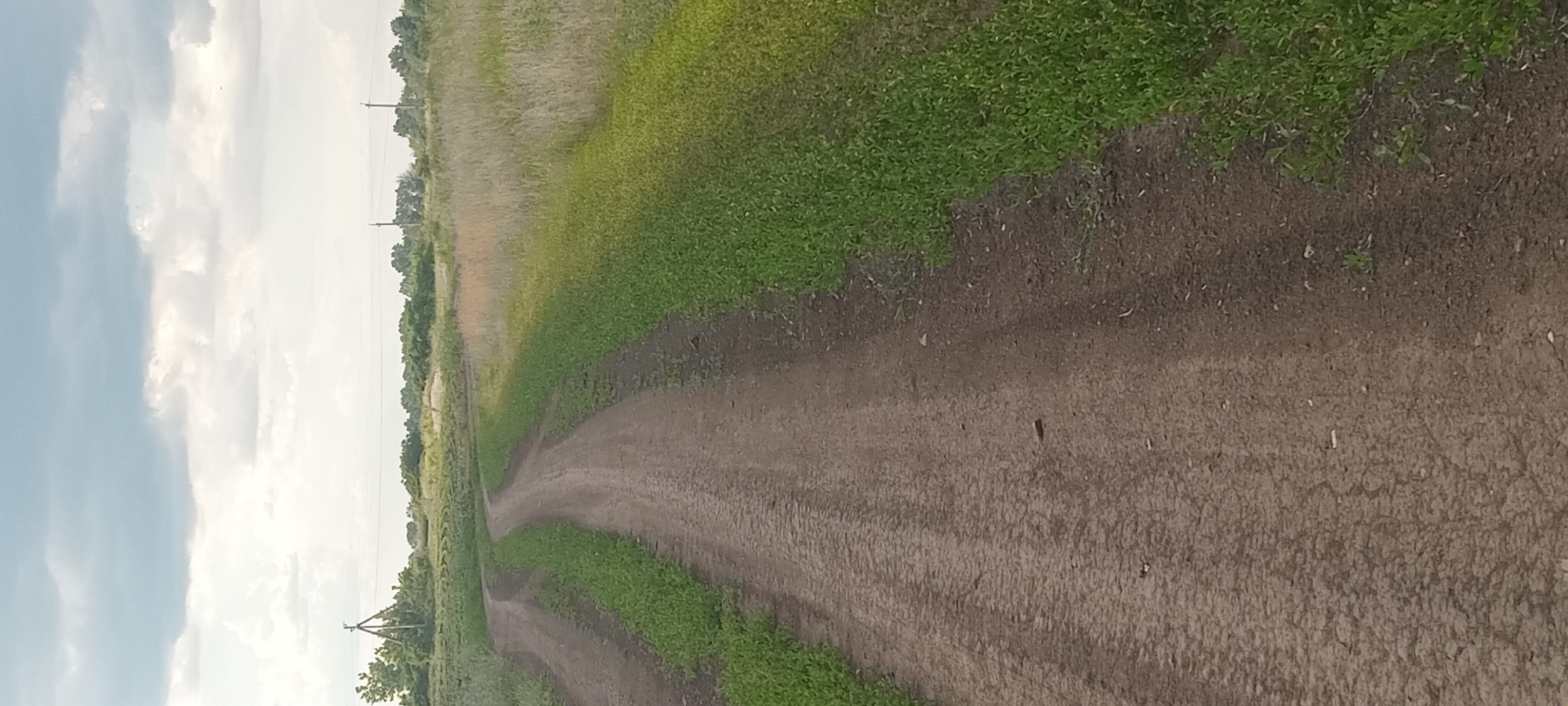 A dirt road curves through a grassy field under a cloudy sky. The road is wet in places, indicating recent rain. The field is covered in lush green grass, with some dry patches of taller grass visible. In the distance, there are trees and utility poles. The scene appears to be in a rural area, possibly on the outskirts of Kovyly, Ukraine.