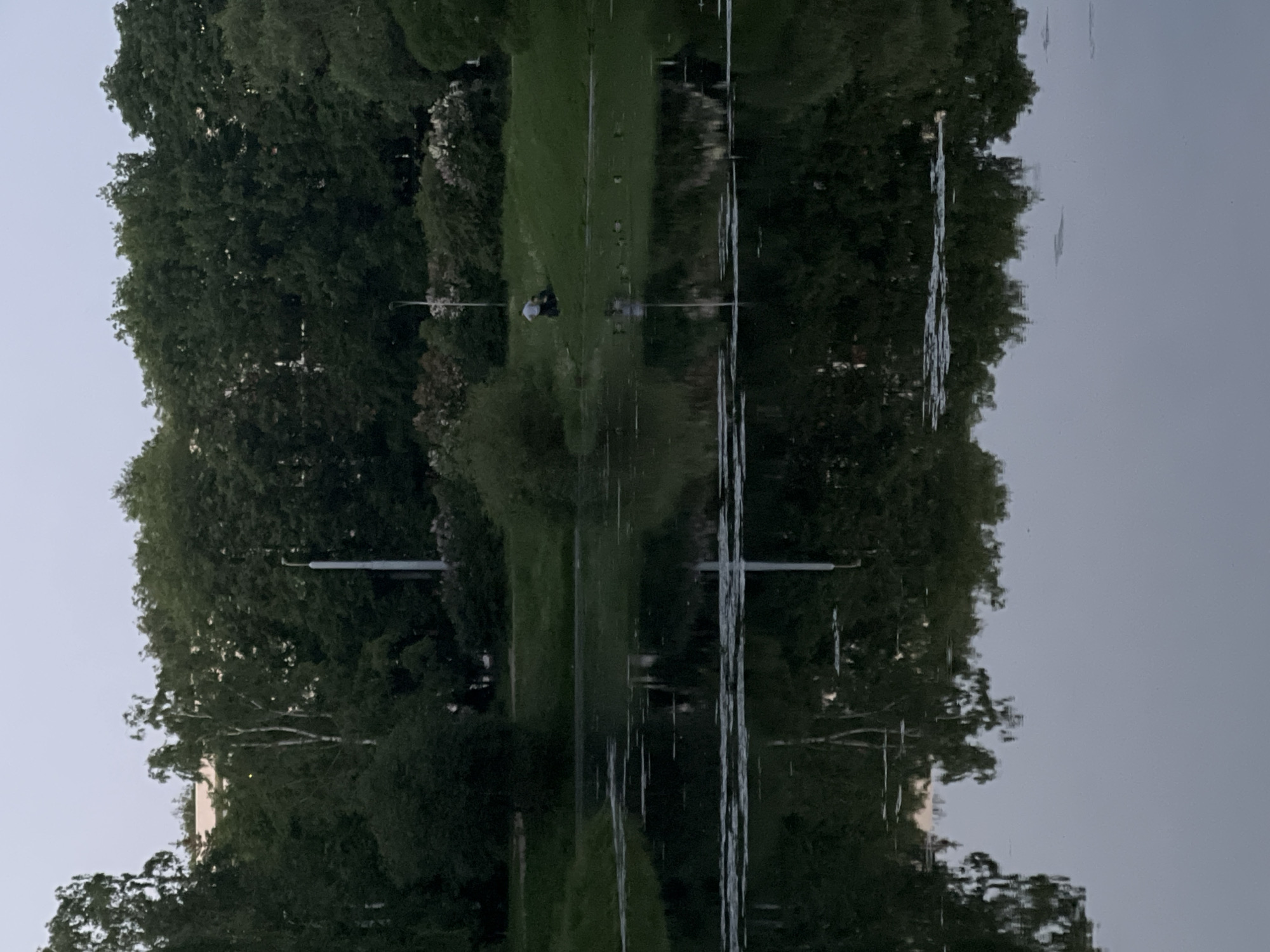 The image depicts an outdoor scene at dusk or dawn in Unknown, Unknown. A calm body of water occupies the foreground and midground, reflecting the overcast, pale grey-blue sky, surrounding trees, and a light-colored pole. Several thin, linear objects float on the water's surface. On the grassy bank bordering the water, one human figure, wearing a light-colored shirt and dark pants, is observed in a crouched or kneeling position next to a smaller, dark, indistinct object. A dense line of trees, including both light-barked and dark-leafed varieties, forms the background. Interspersed within the foliage are bushes with light-colored blooms. A tall, light-colored pole stands vertically on the bank, its reflection clearly visible in the water. The light-colored roof of a building is partially visible above the distant treeline.