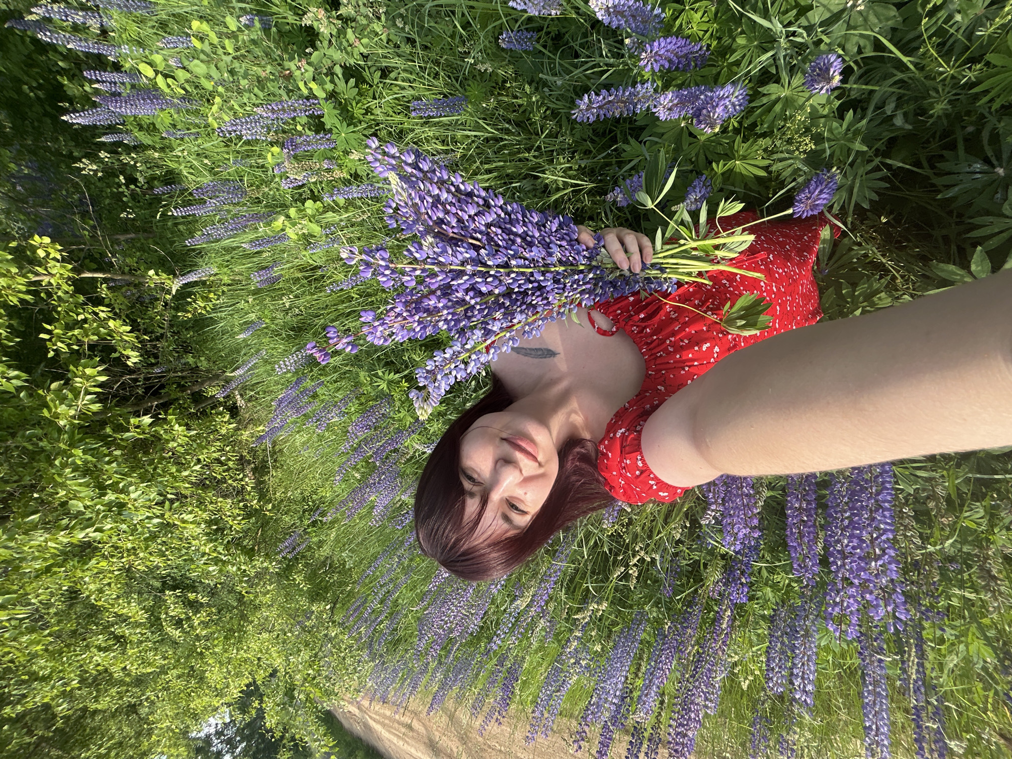 In a sunlit, natural setting resembling the outskirts of Гаревая, Russia, a young woman with dark hair and bangs lies amidst a field of vibrant purple lupine flowers. She is positioned on her back, with her upper body slightly raised, holding a large bouquet of lupine flowers in her right arm. The woman is wearing a red dress with a white floral pattern. Her left arm is extended towards the camera, as if taking a selfie, with her hand and a portion of her forearm visible. Her face is turned towards the camera, and she is smiling. The background consists of dense green foliage, with a dirt path visible to the left of the frame. The overall scene is bright and airy, conveying a sense of peacefulness and immersion in nature.