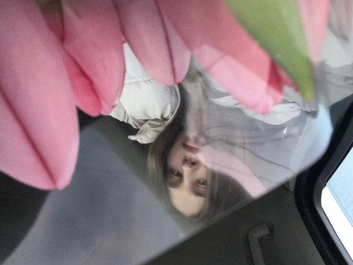 A single female subject is depicted inside a vehicle, viewed through a glass surface. The subject, positioned centrally in the midground, has long, light brown hair and is wearing a light-colored, possibly beige, puffer jacket. Her face is partially visible, with eyes directed towards the camera. In the immediate foreground, a bouquet of several pink tulips with green stems is prominently displayed, partially obscuring the lower and left portions of the female subject. Reflections and distortions are present on the transparent surface, suggesting it is a car window. Visible elements of the vehicle's interior include a dark overhead handle and portions of the ceiling. The scene is located in the city of Slavyansk-na-Kubani, Russia.