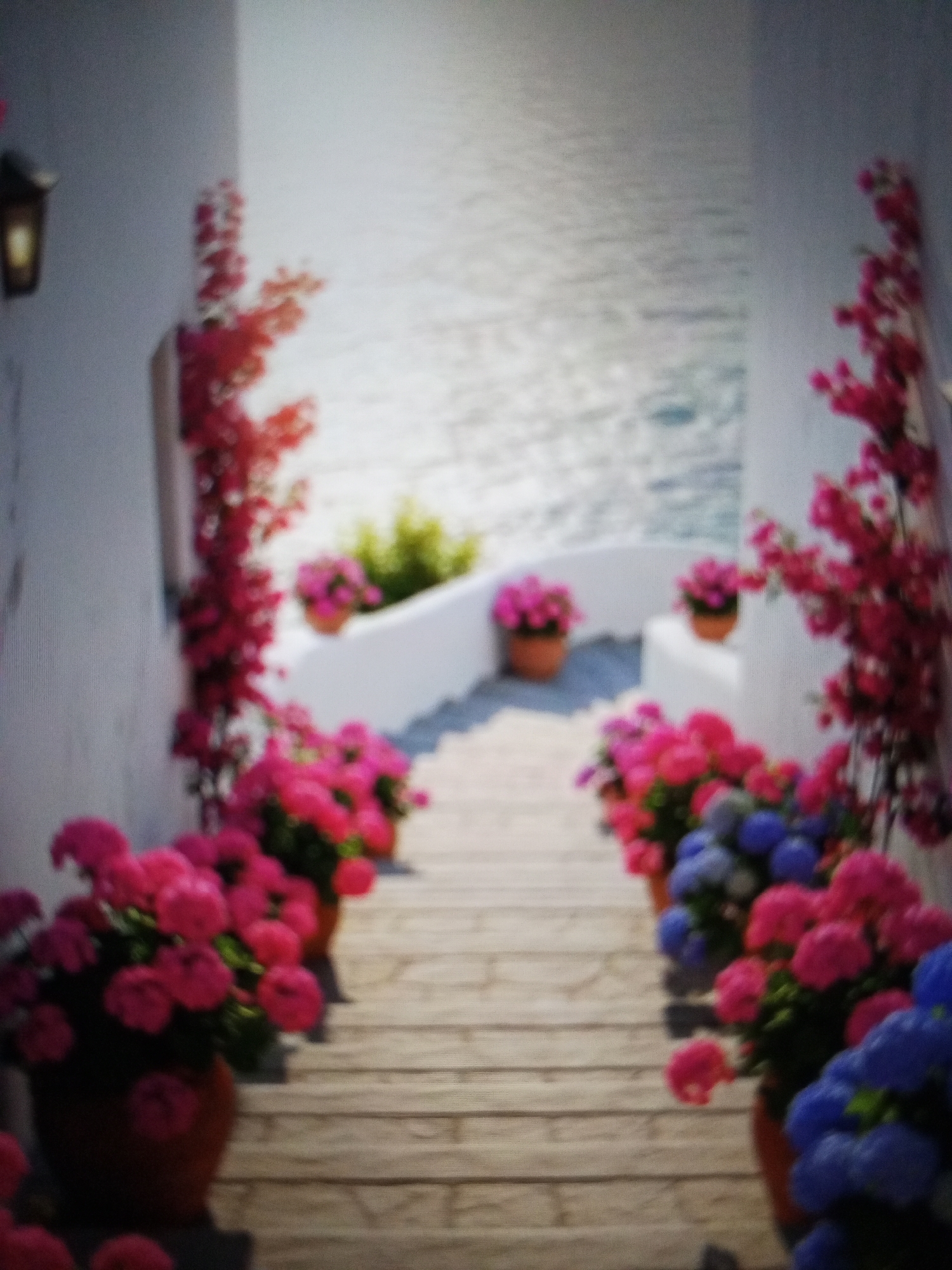 A blurred, eye-level photograph depicts a downward-sloping set of stairs or walkway leading to a body of water. The stairs are light in color, possibly stone or painted wood, with horizontal planks. The scene is framed by whitewashed walls on either side. Climbing the walls are vibrant pink and reddish-pink flowering vines. Along the stairs are potted plants with pink and blue flowers. At the bottom of the stairs, a white wall with potted pink flowers acts as a barrier overlooking the water. A light fixture is visible on the wall to the left. The scene suggests a coastal location. There is no indication of the location being in Tinaquillo, Venezuela.