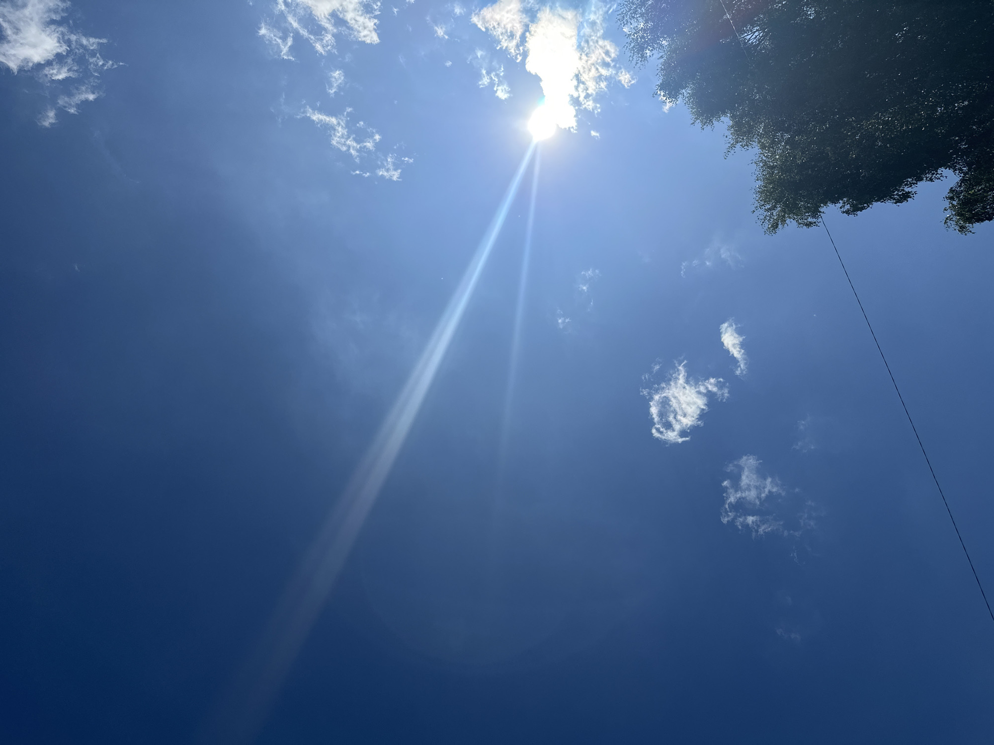 The image is a low-angle shot of a bright blue sky with scattered white clouds. The sun is visible in the upper right quadrant, partially obscured by a cloud, and is emitting a strong lens flare that creates a diagonal beam of light across the sky. A dark green tree canopy fills the bottom right corner of the frame, and a thin, dark wire stretches diagonally across the lower portion of the sky. The overall impression is of a sunny day. The location is Plesetsk, Russia.