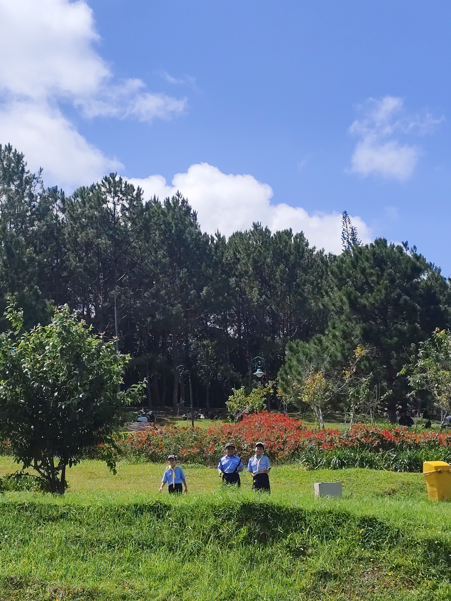 In Da Lat, Vietnam, a group of people are seen in a park with lush green grass and trees. The sky is blue with white clouds. In the foreground, there are two individuals, likely children, wearing blue shirts and dark pants, walking in the grass. Behind them, there is a row of vibrant red flowers. Further in the background, a line of tall pine trees forms a dense forest. A yellow trash can is visible to the right of the frame. The scene appears to be a pleasant day in a park setting.