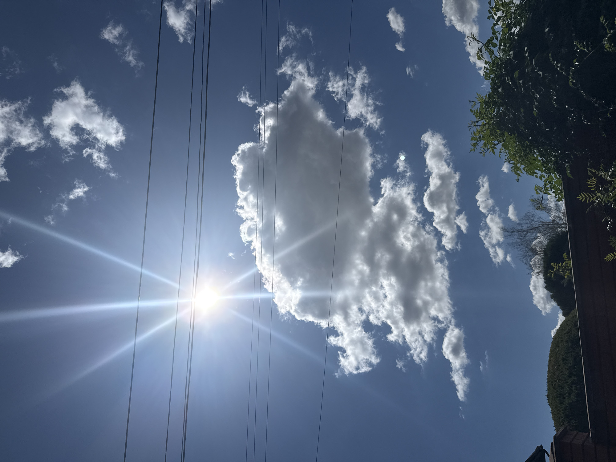 This is a vertical, eye-level shot of a bright, sunny sky over Zaporizhzhia, Ukraine. The sun is high and slightly to the left of the frame, emitting strong sunbeams that create a lens flare effect. Several power lines are visible horizontally across the sky. Scattered white cumulus clouds populate the blue expanse, with one large cloud prominently positioned near the center. In the lower portion of the image, the tops of trees and a brick fence are visible.