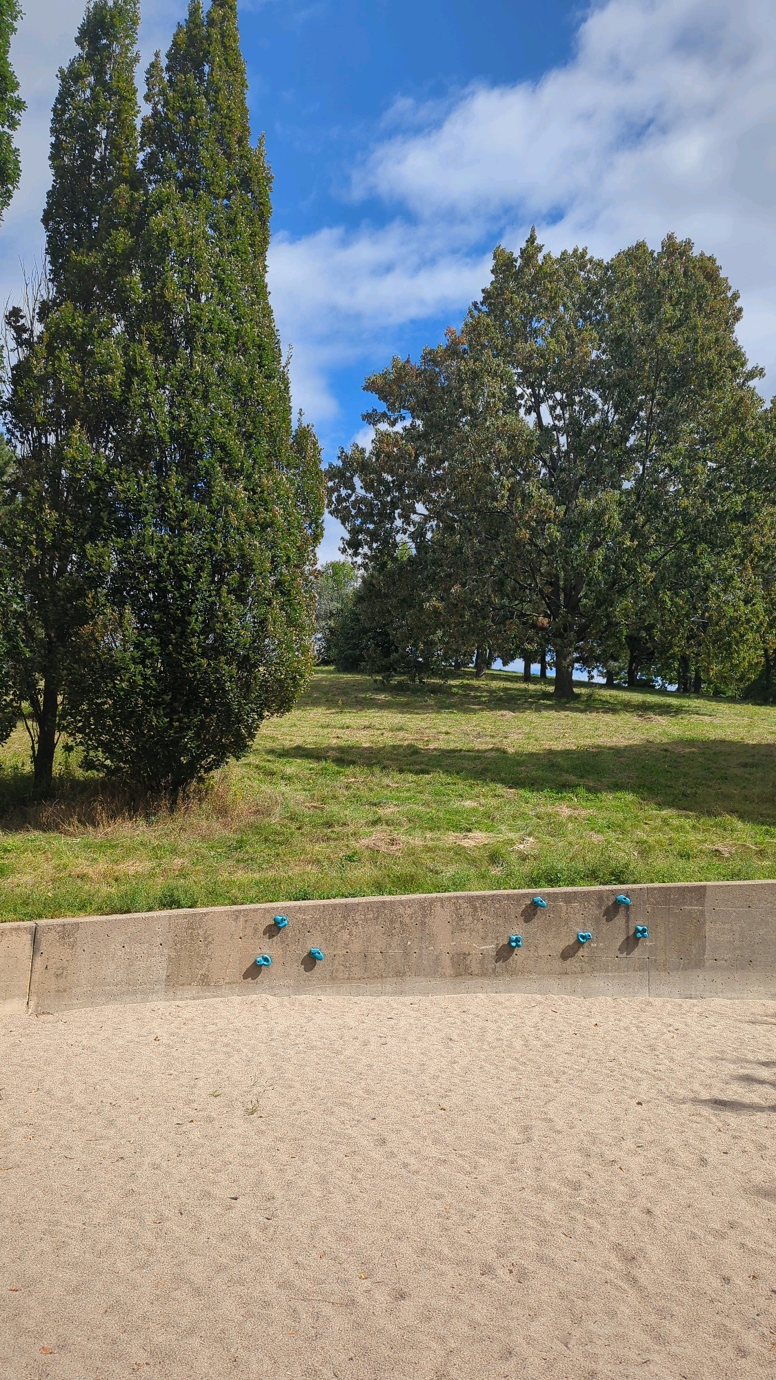 This is an outdoor scene captured on a sunny day with a partly cloudy sky. In the foreground, there is a sandy area with a concrete retaining wall. Mounted on the wall are several teal-colored climbing holds. Behind the wall, a grassy slope rises, dotted with patches of dry grass. Several trees are visible, with a tall, narrow evergreen on the left and a wider, leafier deciduous tree to the right. Further in the background, more trees and a body of water can be seen. The image appears to be taken at Parc Jean-Drapeau on Île Sainte-Hélène in Montreal, Canada, likely in the area of the Biosphere. There are no people or animals present.