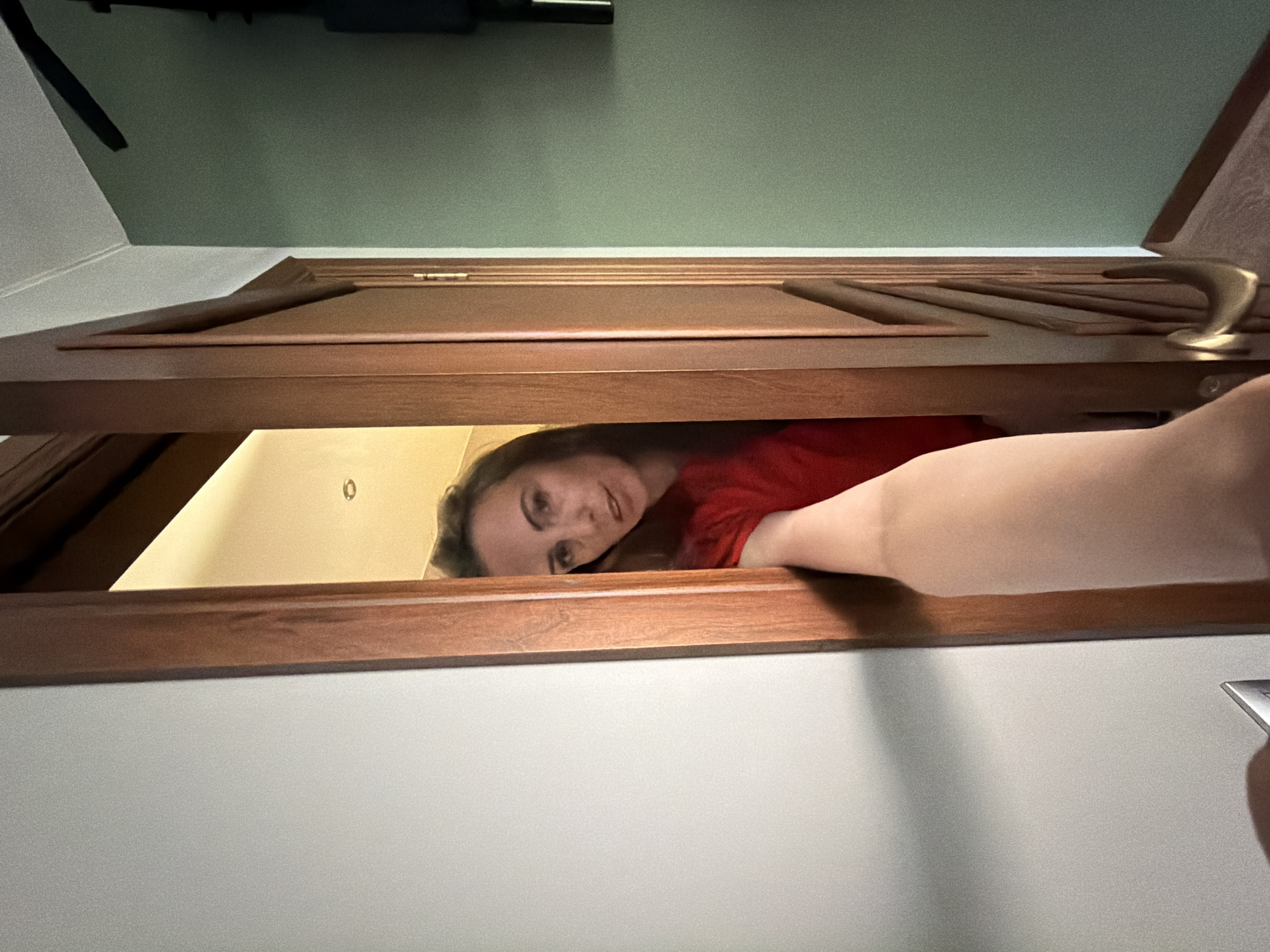 A woman wearing a red shirt is partially visible through the opening of a wooden door. The door is ajar, allowing a view of her face and part of her arm. The room visible behind the door has light-colored walls. The exterior walls are light green. The image appears to have been taken from a low angle, looking up through the partially open door. There is no indication of this image being taken in Birobidzhan, Russia.