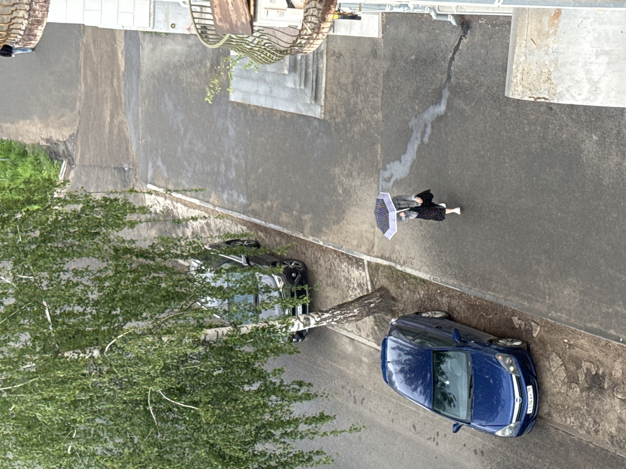 The image presents an overhead view of a street or paved area in an urban environment, likely Votkinsk, Russia. The scene includes a building along the right and top edges, a broad paved surface in the center, and a large tree with abundant green leaves and a light-colored trunk on the left.
One person is visible walking across the paved surface towards the lower left. They are wearing a dark, patterned dress and light shoes, and are holding an open umbrella with a distinctive colorful pattern, appearing to be purple, blue, and white. While the umbrella suggests rain or strong sun, the pavement primarily appears dry, save for several distinct wet streaks, one of which originates from beneath the building's edge.
Two cars are parked along the side of the paved area. A dark blue hatchback is prominently displayed on the lower right, facing towards the top-right. Its Russian license plate, "ES 16 AV 18," features the region code "18," which corresponds to the Udmurt Republic, consistent with the provided location of Votkinsk. Behind the large tree, partially obscured by its foliage, a darker-colored sedan is also parked.
The scene takes place during the daytime, under natural light conditions that do not cast strong shadows, possibly indicating an overcast sky. Architectural features, including steps and a balcony-like structure, are visible on the building.