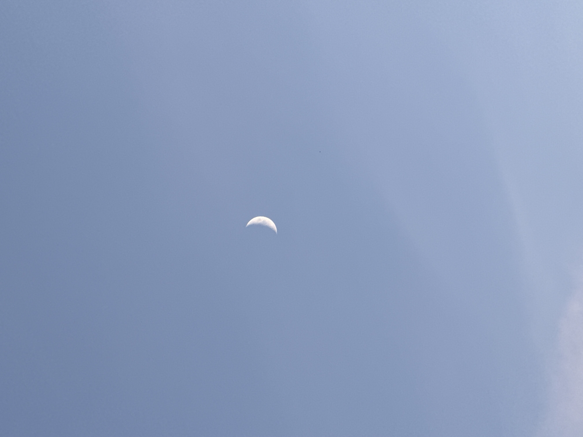 A crescent moon is visible in a clear, pale blue sky. The moon is positioned slightly to the right of the center of the frame. There is a very small, dark speck visible in the sky below and to the left of the moon, which may be an insect or a bird. The bottom portion of the image shows a very faint, wispy cloud formation. The location is not specified to be Moscow, Russia.
