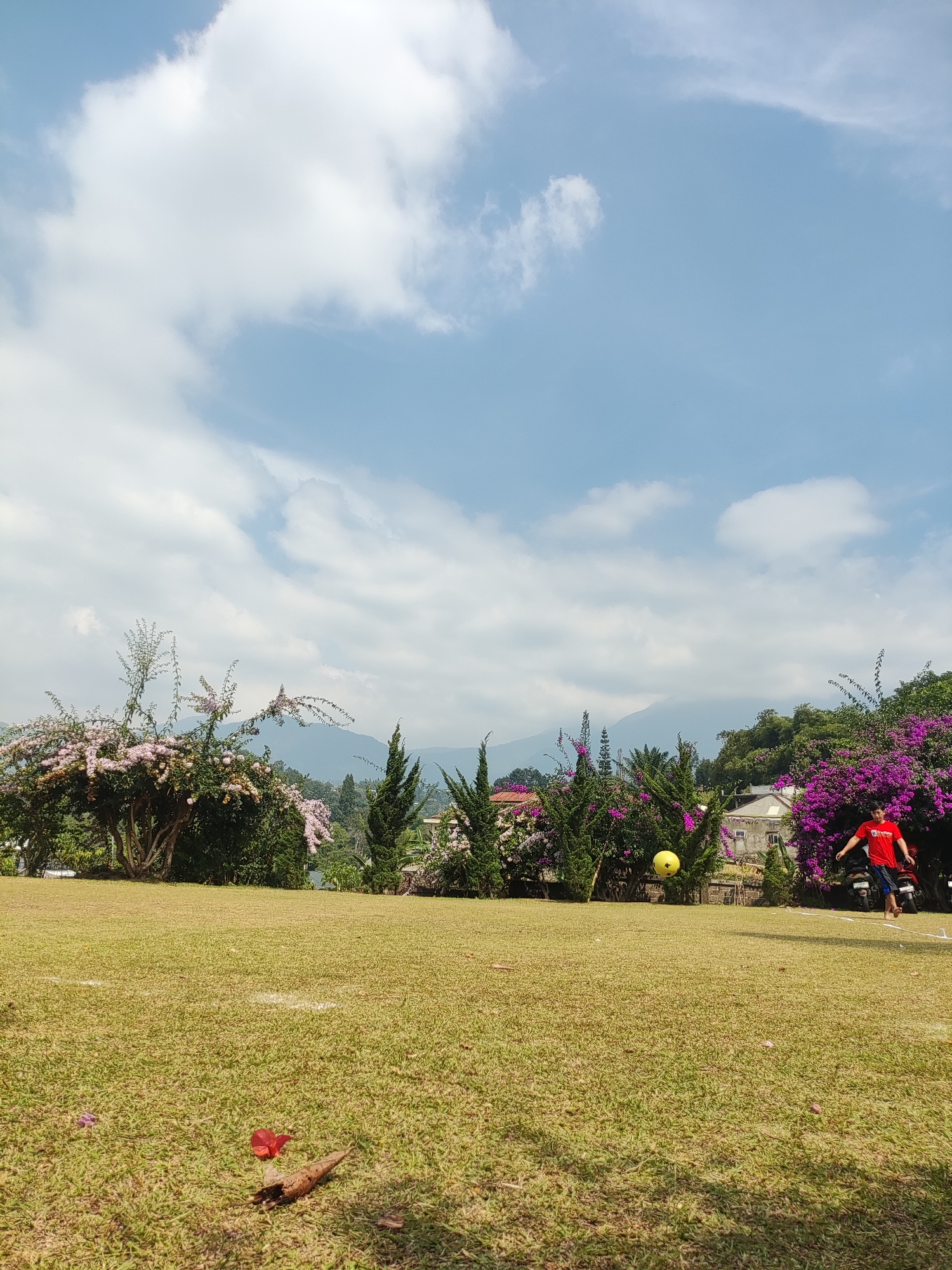 A young person in a red shirt and dark shorts is playing with a yellow ball on a grassy field in Cisarua, Indonesia. The person is in motion, appearing to kick the ball, with their left leg extended and their body leaning forward. The background features lush green trees, flowering bushes with vibrant purple and pink blossoms, and a distant view of mountains under a partly cloudy blue sky. Several motorcycles are parked to the right of the frame near a building. The foreground is dominated by a well-maintained lawn, with a few fallen leaves and a twig visible on the grass. The overall scene depicts a bright, sunny day in a scenic outdoor environment.