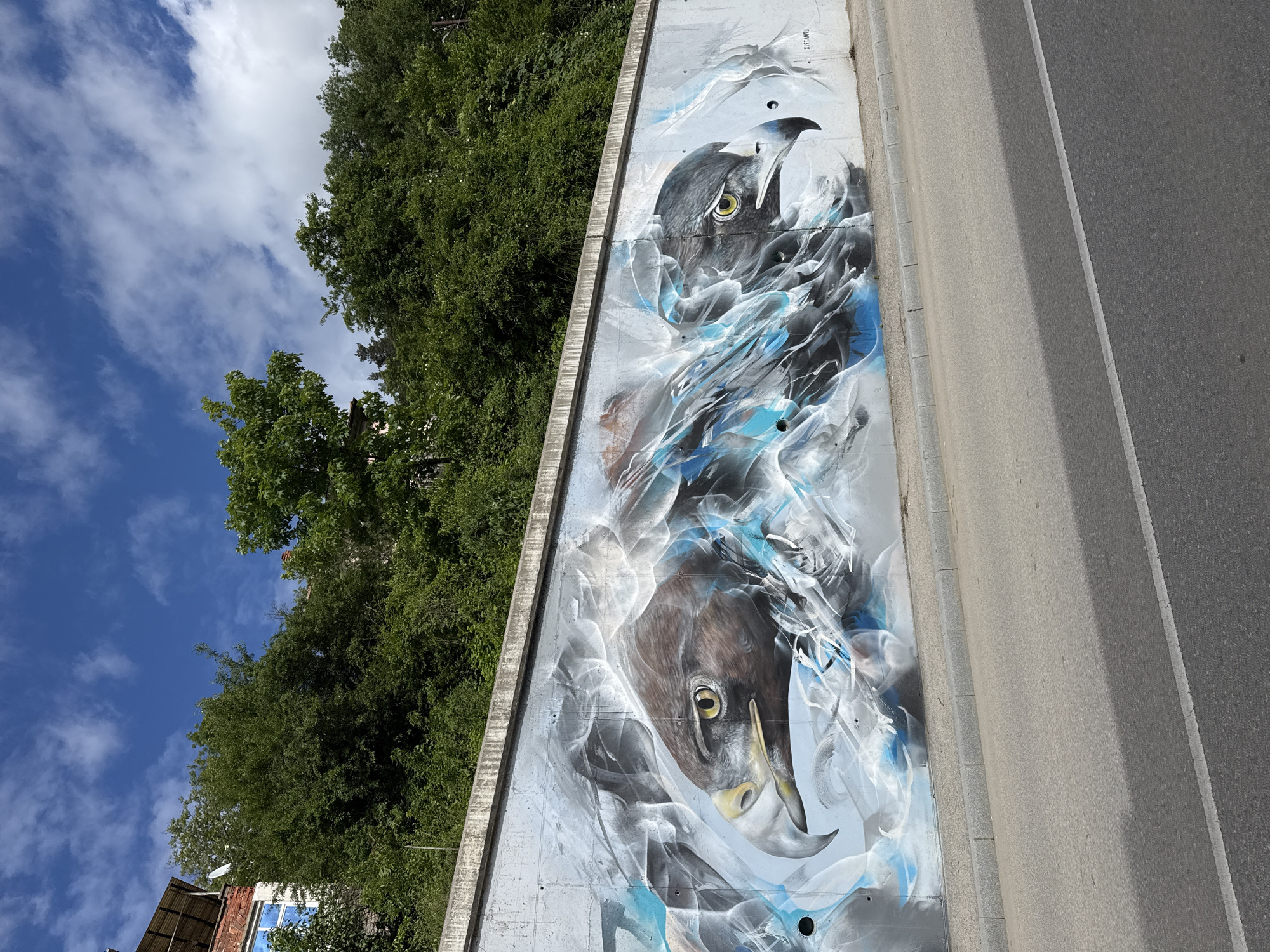 A mural featuring two hawks painted on a concrete wall is visible in Gabrovo, Bulgaria. The wall is located next to a road. Lush green trees and a blue sky with white clouds are in the background. A building with a satellite dish is visible at the bottom left corner.