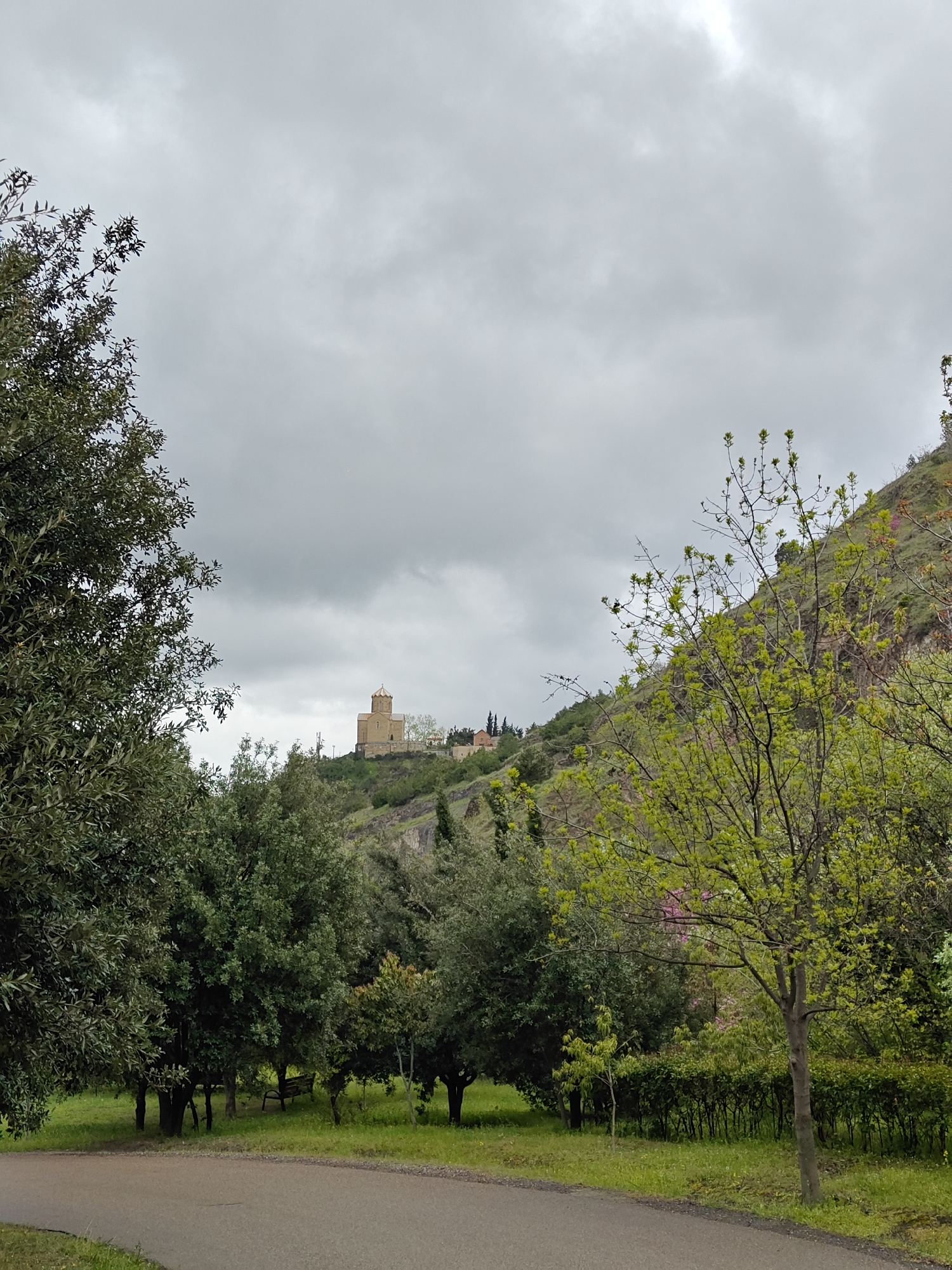 This media file captures a serene, overcast landscape in what appears to be a park or green space, with a prominent architectural landmark on a distant hill. The scene is set in Tbilisi, Georgia, under a heavily clouded, grey sky, suggesting an overcast day.
In the foreground, a paved path, likely asphalt, curves gently to the left, with green grass flanking its edges. The mid-ground is densely populated with various trees and bushes. A large, dark green leafy tree frames the left side of the image, while a tree with lighter, fresh green leaves and bare branches partially frames the right. Between these, an expanse of green lawn is dotted with smaller trees and shrubs. A wooden park bench is visible nestled among the trees in the middle-left section of the image, suggesting a recreational area.
The background is dominated by a verdant hill, partially revealing some rocky outcrops. Perched atop this hill is a distinctive stone building, likely a church or monastery, characterized by its light brown or beige color, a central dome, and arched windows. This structure is a focal point against the muted sky.
No specific activity or event is taking place, and no people are visible. The overall mood is tranquil, emphasized by the soft, diffused light of the overcast conditions. There is no visible text in the image.