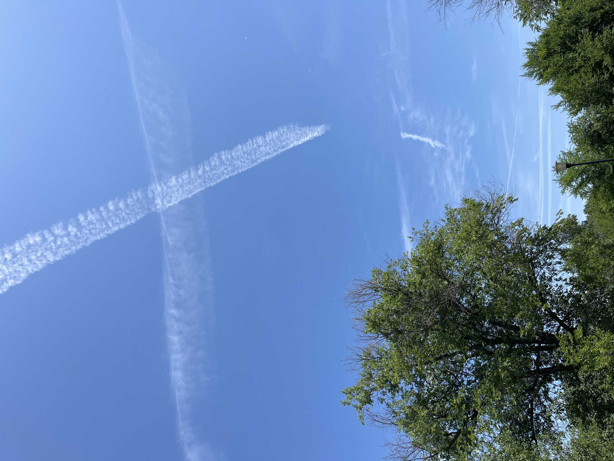 The image captures a clear blue sky over a lush green landscape. Two prominent contrails, likely from aircraft, cross each other in a "X" formation in the upper portion of the sky. One contrail is thicker and more defined, while the other is thinner and more wispy. Below the sky, the upper branches of a large, leafy green tree dominate the left side of the frame. In the lower right, the tops of other trees and a lamppost are visible, suggesting an outdoor environment, possibly a park or a well-maintained natural area. The scene appears to be a bright, sunny day. The image was taken in the vicinity of Krasnyye Barrikady, Russia.
