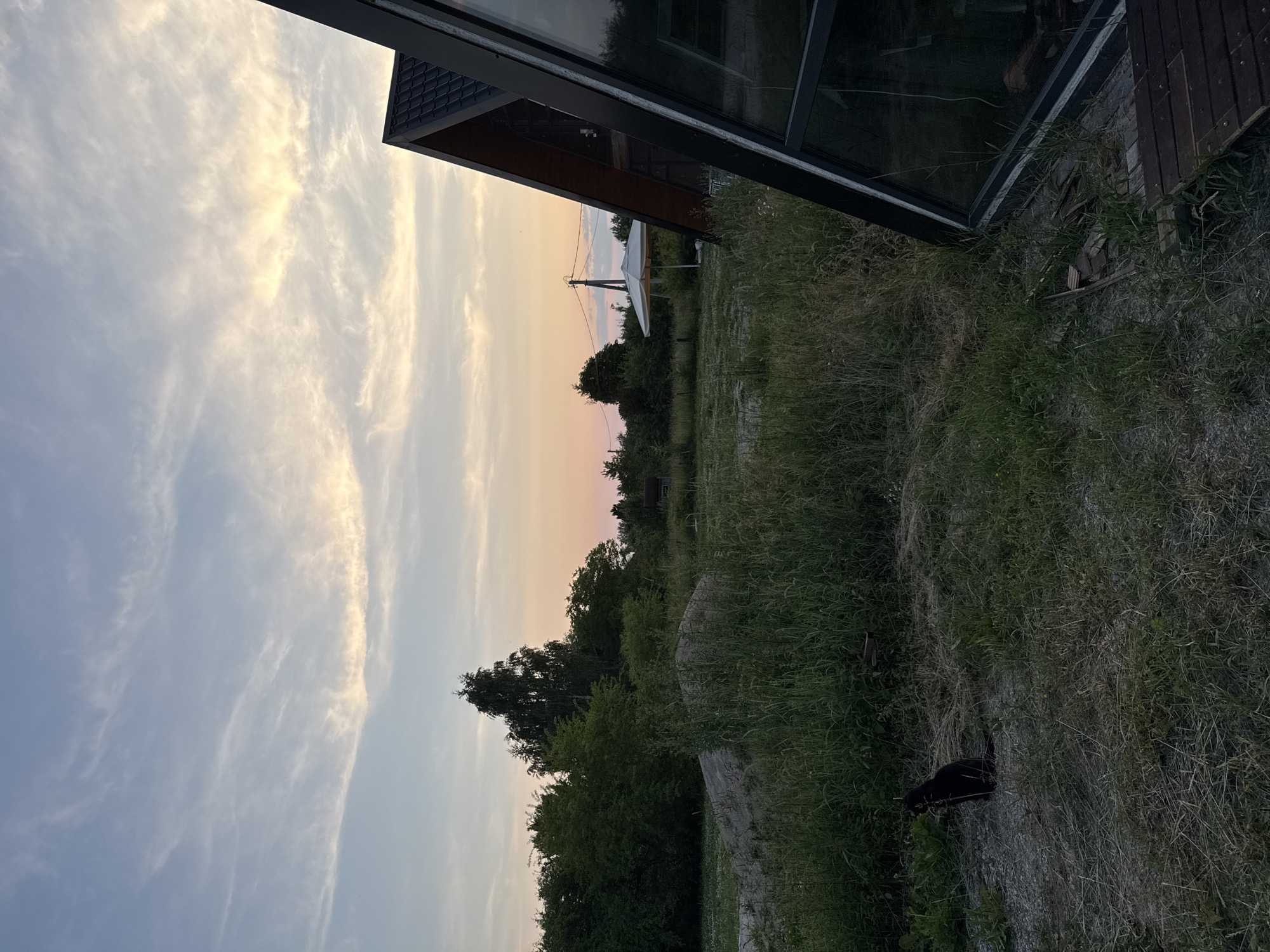 In Vol'noe, Russia, a black cat is perched on a gravel path in a grassy area. To the right, the angular structure of a modern A-frame house with large glass windows is visible. Beyond the cat and the house, a landscape of trees and vegetation stretches towards a pale sky with wispy clouds, indicative of dusk. A white umbrella stands in the middle ground, and a utility pole with wires is also present. The overall scene suggests a rural or semi-rural setting at the end of the day.