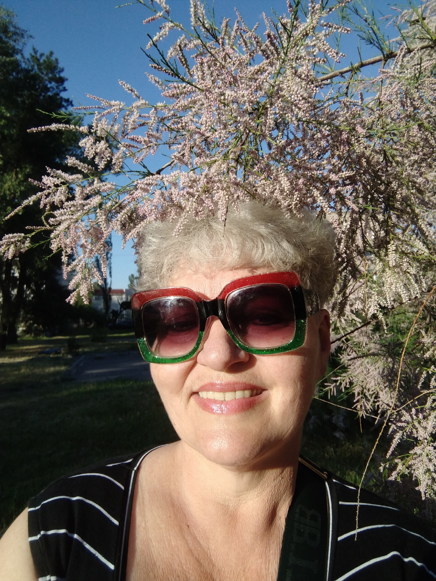 A close-up outdoor portrait depicts a smiling, light-skinned individual with short, curly grey hair, looking directly at the viewer. They are wearing large, rectangular sunglasses with red, black, and green glittered frames. The individual is dressed in a black top with thin white horizontal stripes. Directly behind and above their head, a dense canopy of a flowering plant with numerous small, light pink blossoms on slender green branches is visible against a clear, bright blue sky. In the deeper background, to the left, dark green foliage of other trees and faint outlines of distant structures are discernible. The ground in the background consists of green grass with varying light and shadow. The scene is illuminated by natural sunlight, casting visible highlights and shadows. The image captures a moment in the city of Horishni Plavni, Ukraine.