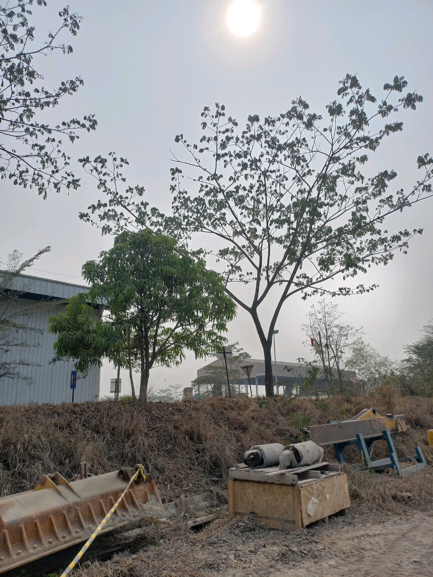 The image depicts an outdoor scene with dry grass and debris in the foreground, suggesting a somewhat unkempt or under-construction area. Several large pieces of industrial equipment, including what appears to be a bulldozer attachment and a metal frame for machinery, are scattered across the ground. In the mid-ground, a lush green tree stands beside a larger, more sparse tree with bare branches, contrasting with the dry surroundings. Behind the trees, a modern-looking building with a corrugated metal facade is visible. The sky is overcast with a bright sun peeking through, creating a hazy atmosphere. The scene is consistent with an industrial or construction site on the outskirts of Paringin, Indonesia, characterized by a mix of natural elements and man-made structures. There are no people visible in the image.