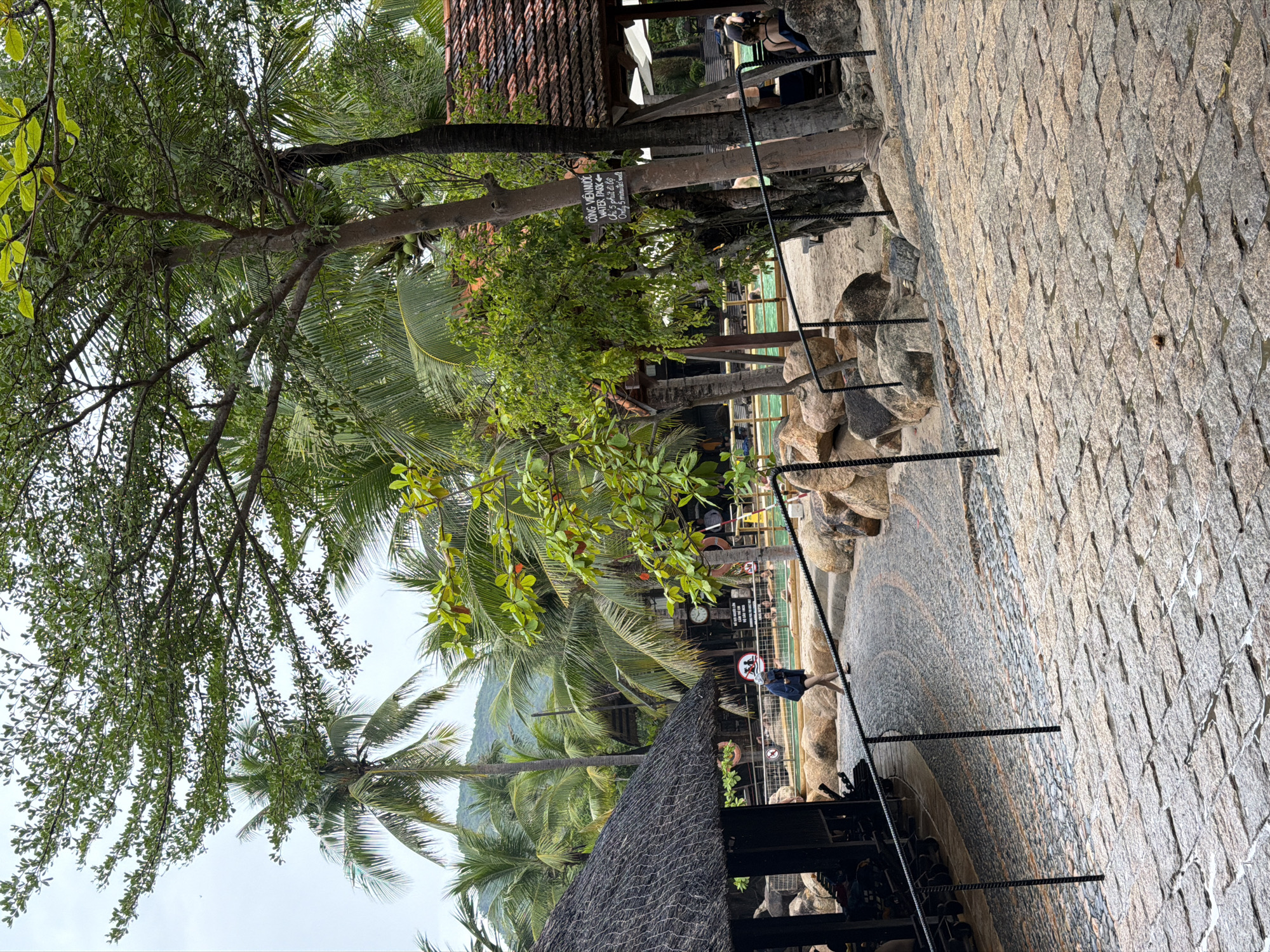 The image depicts a walkway paved with cobblestones leading down an incline in a tropical environment. To the left, a thatched-roof structure, possibly a pavilion or shelter, is visible with rows of lounge chairs stacked nearby. Palm trees and other lush greenery dominate the background, suggesting a resort or water park setting. In the distance, a swimming pool with clear blue water can be seen.
A young person, dressed in a dark blue top and shorts with a blue hat, is walking down the cobblestone path. The person is facing away from the camera, and their gait suggests they are casually strolling. A sign is affixed to a tree in the mid-ground, with text in Vietnamese and English, indicating "WATER PARK" and directions. Several large rocks are scattered along the sides of the path and near the pool area. The sky is overcast, indicating a possibly humid day. The overall scene suggests a recreational area in Nha Trang, Vietnam, likely a water park or a resort offering such amenities.