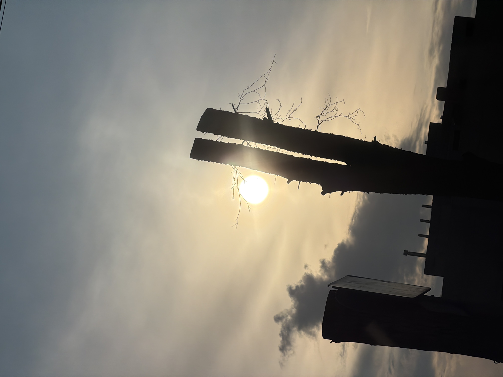 The image is a low-angle, silhouetted view of the sky, captured at what appears to be dusk or dawn. The lower part of the image features the dark outlines of what could be tree trunks or construction elements, one of which is split into two. Sparse branches extend from these dark shapes.
The sun, a bright, round orb, is positioned between the split section of the tree trunk and silhouetted, making it appear as though it is emerging from the gap. The sky is a mix of light and darker tones, suggesting clouds.
No people are visible in the frame. The lighting and composition create a contrasting scene where natural and artificial elements intertwine in silhouette. There is no indication of the location being Izhevsk, Russia.
