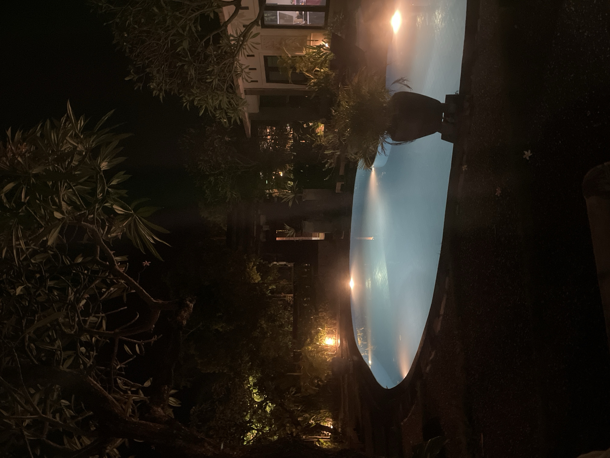 The image portrays a tranquil outdoor scene at night, likely in Kuta Selatan, Indonesia. A large, light blue swimming pool dominates the right side of the frame, its surface reflecting bright artificial lights that create luminous streaks and a soft glow on the water. Adjacent to the pool, on a dark ground, lie several small, white fallen flowers.
To the left of the pool, dense foliage from trees and bushes fills the foreground and midground. These tropical plants are largely silhouetted against the dark night sky, though some branches and leaves are subtly illuminated by ambient light, revealing their textures. In the background, partially visible through the trees, stands a building or house with several lit windows, suggesting interior activity. A dark, indistinct shape, possibly a planter or statue, is positioned near the edge of the pool.
The time of day is clearly night, characterized by the deep darkness and the reliance on artificial lighting. The scene appears calm and still, with no visible human activity or individuals. The overall atmosphere is peaceful and serene. There is no visible text in the image.