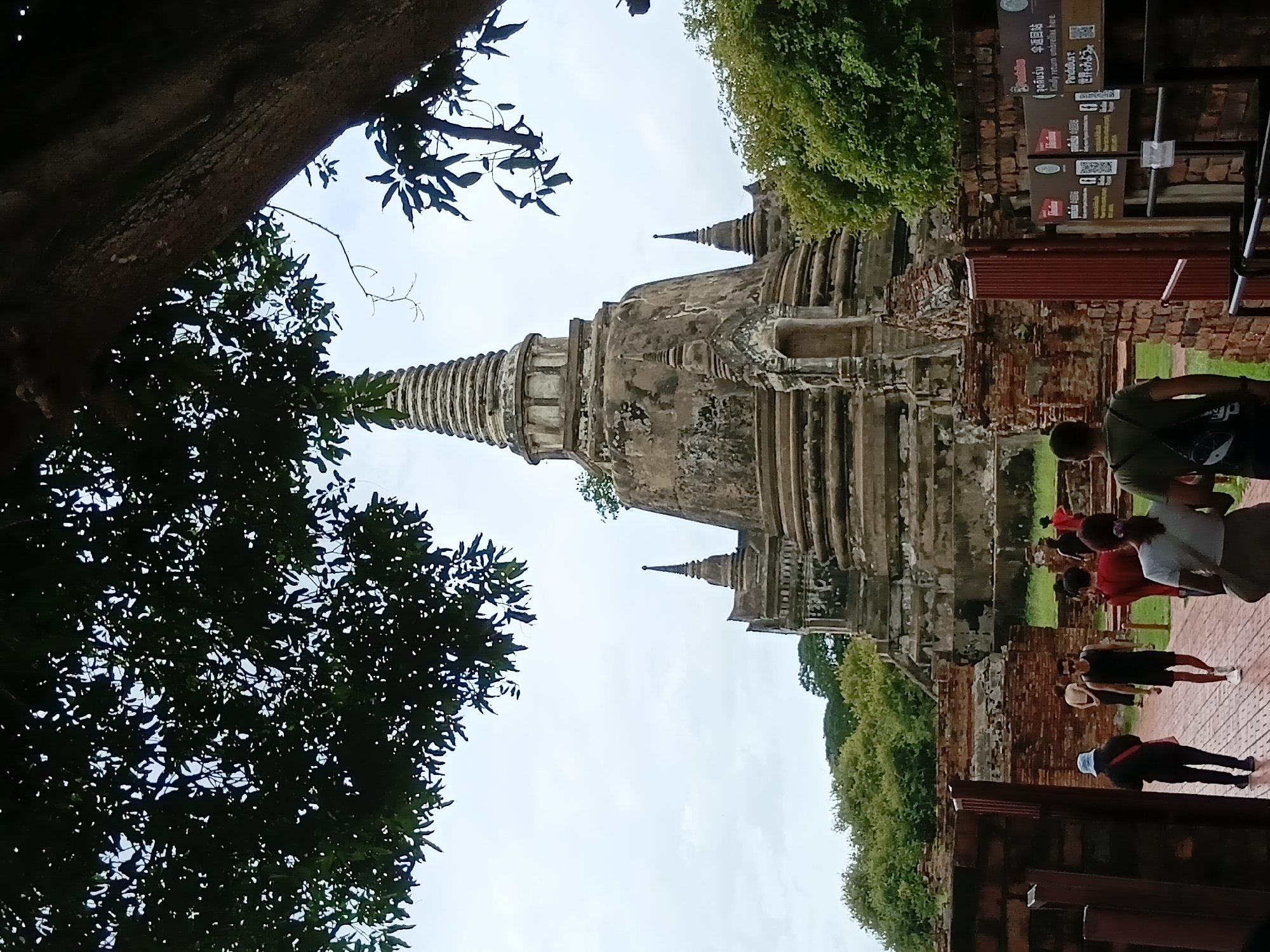 The image shows a view of the ancient temple ruins in Phra Nakhon Si Ayutthaya City Municipality, Thailand, framed by lush green foliage from trees overhead and to the sides. In the foreground, a pathway made of red brick leads towards the ruins. Several individuals are walking along this path. One person in the foreground is wearing a dark t-shirt and shorts, with sunglasses, and is walking towards the viewer. To their left, another person in a dark jacket and blue hat is walking away from the viewer. Further down the path, other figures are visible, some in red shirts and others in darker attire.
Dominating the background is a large, weathered stupa with multiple tiered levels and a pointed spire. Several smaller stupas are situated around the main structure. The temple architecture shows signs of age, with crumbling stone and exposed brickwork. Surrounding the ruins are more brick walls, some intact and others in disrepair, interspersed with dense green trees and vegetation. The sky above is overcast with diffused light. On the right side of the image, near the pathway, are signs with text in a foreign language and QR codes.