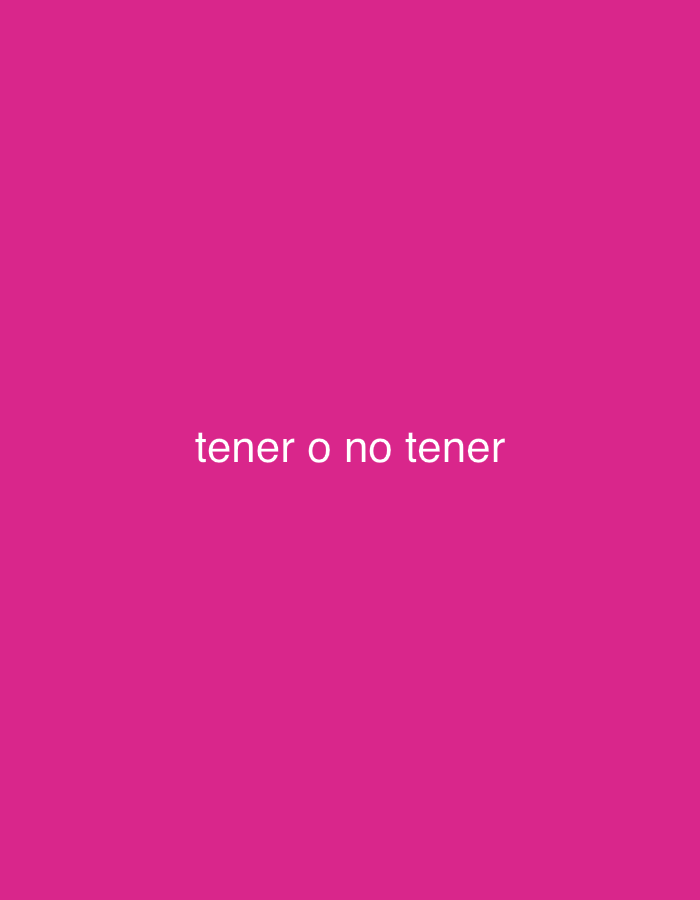 The image displays white text centered against a solid magenta background. The text reads "tener o no tener" in a sans-serif font. No other subjects, objects, or activities are visible. The background is a uniform deep pink color.
