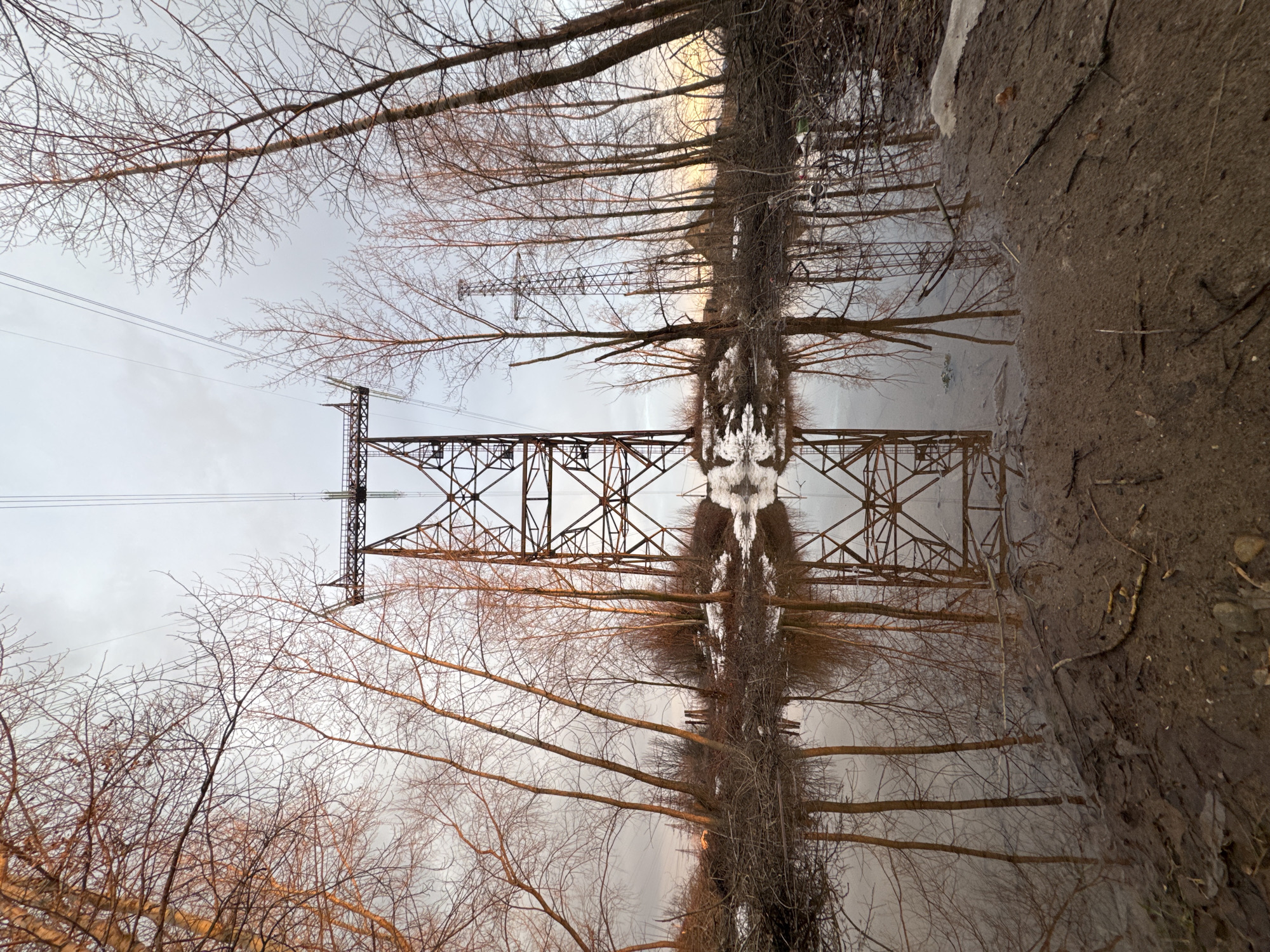 The image is a reflection in a puddle. The reflected image consists of bare trees, an electrical tower, the sky, and the sunset. The puddle reflects the tower and the trees and the sky. The puddle is surrounded by dirt and mud. The city of Chaikovsky, Russia is not visually confirmed.