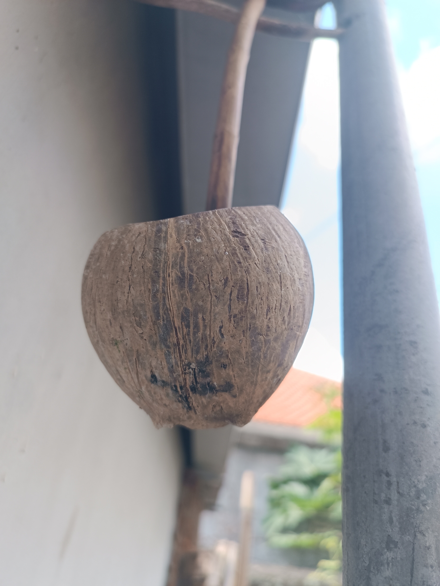 A close-up, low-angle shot captures a half-coconut shell hanging from a wooden pole, possibly as a bird feeder or planter. The coconut shell is roughly cut, revealing its fibrous exterior with varying shades of brown and dark marks. A portion of a thin, wooden stick protrudes from the top of the shell, suggesting it's part of a hanging mechanism. In the background, a light-colored wall is visible to the left, while a blurred, gray vertical pole dominates the right side of the frame. Beyond the pole, glimpses of orange rooftops and green foliage indicate an outdoor setting, consistent with a residential area in Tabanan, Indonesia. The lighting suggests it is daytime, with natural light illuminating the scene. There are no people or animals visible in the image.