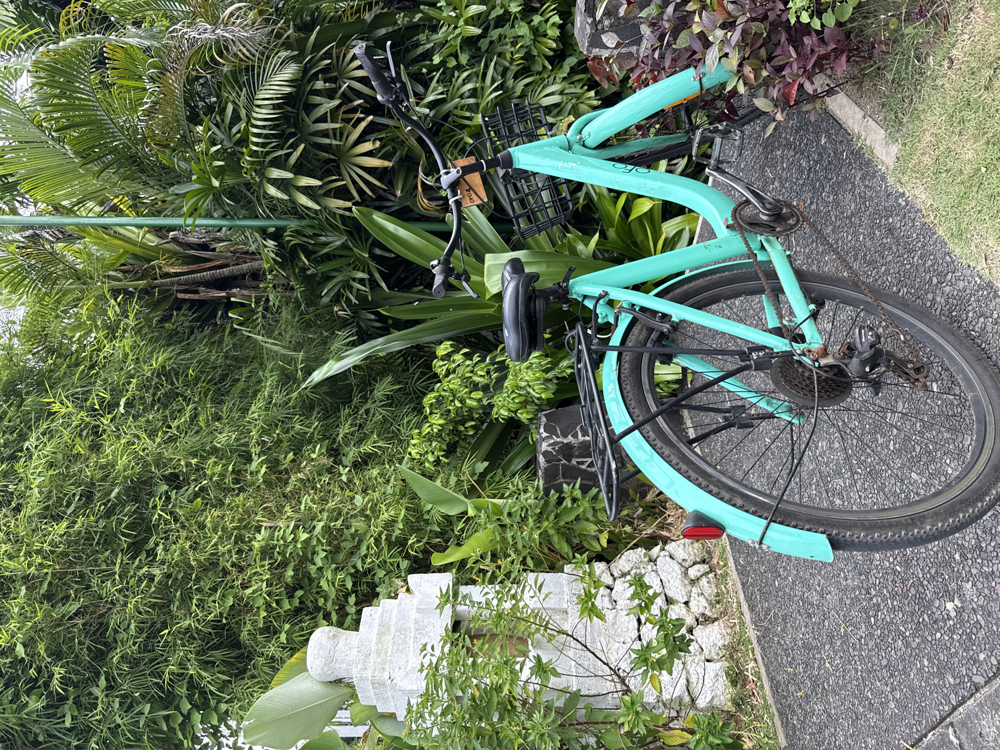 A teal-colored bicycle is parked on a textured gray paved surface near lush greenery, likely in Nusa Dua, Indonesia. The bike is facing towards the top-left of the frame. Its rear wheel is visible, along with the frame, handlebars, and a black wire basket on the front. The bicycle is surrounded by tropical plants, including palms and various shrubs. A short white stone retaining wall borders the paved area, and a light post can be seen on the left side. The lighting indicates daylight.