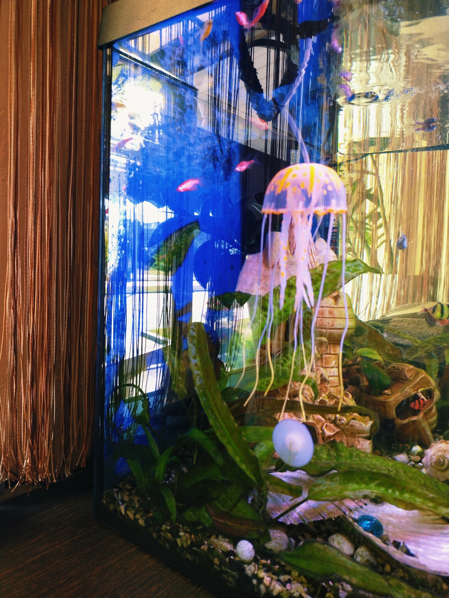The media file shows an aquarium with a jellyfish and several small fish. The aquarium is set up with gravel at the bottom, plants, and some decorative elements, including what appears to be a small, brick-like structure. A translucent jellyfish with orange accents and long tentacles is a prominent subject, positioned in the mid-foreground. Several small, colorful fish, some pink and orange, are visible throughout the aquarium. The background of the aquarium is a vibrant blue, with vertical lines suggesting some sort of background decoration or lighting.
To the left of the aquarium, a portion of a tan-colored beaded curtain is visible, suggesting an indoor setting, possibly a room in a home. The lighting appears to be artificial, casting reflections on the aquarium glass. The overall impression is of a decorative aquarium display.
There is no discernible activity or event taking place other than the natural movement of the fish and jellyfish within their environment. Notable details include the bright colors of the fish and jellyfish, the artificial nature of the jellyfish, and the contrasting textures of the beaded curtain and the aquarium's contents. No text is visible in the media file. The location context of Horishni Plavni, Ukraine, provides a geographical setting, but there are no specific visual cues within the image to confirm this location directly.