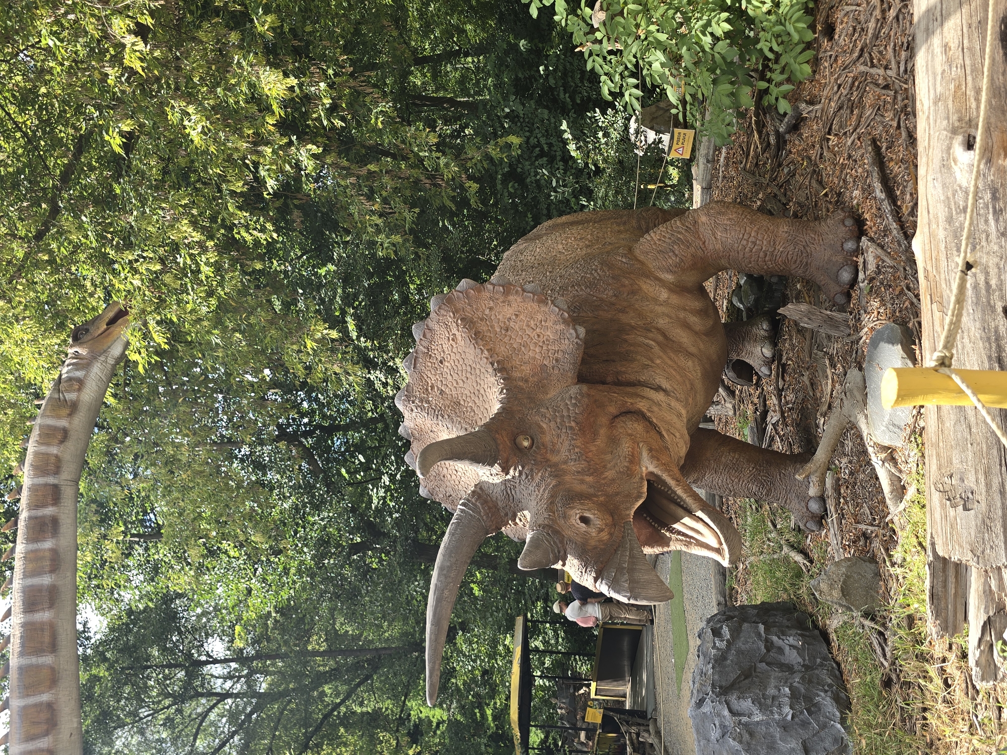 An outdoor exhibit features a life-sized replica of a Triceratops dinosaur in the foreground, positioned amidst a forest setting. The dinosaur is depicted with its mouth open, revealing its teeth, and its three horns are prominent. Behind the Triceratops, a group of three individuals, two adults and one child, are visible, appearing to be visitors. Further in the background, a yellow tram or train with an open canopy is parked, suggesting it is part of the exhibit's transportation system. The environment is lush with green trees and foliage, indicating a natural or park-like setting. A warning sign with a yellow triangular symbol and text in a foreign language is present on the right side of the image, behind the Triceratops. The ground is covered with dry leaves, twigs, and some scattered rocks. The upper portion of the image reveals a segment of another dinosaur replica, appearing to be a long-necked sauropod, positioned above the Triceratops and partially obscured by trees. The scene appears to be a dinosaur-themed attraction, likely located in a park or open-air museum within the city of Vyškov, Czechia.