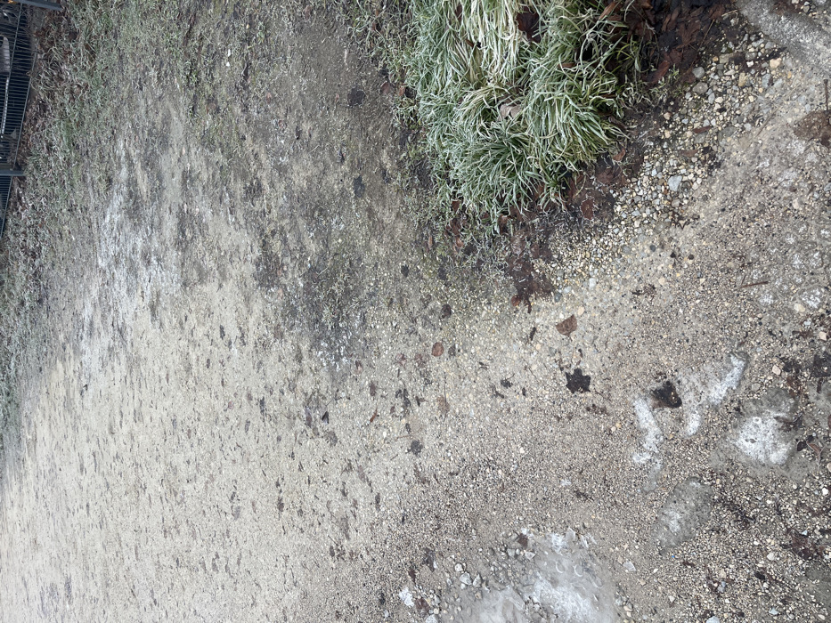 This image presents an overhead view of a textured ground surface, likely a path or an area alongside one, captured during cold weather. The ground is a mix of compacted dirt, small pebbles, and scattered larger stones, displaying a range of grey, brown, and dark tones. Patches of white, indicative of frost or thin ice, are visible across the surface, notably in the lower right and central areas.
Along the upper edge, a vibrant patch of green, grass-like vegetation is prominent, heavily covered in white frost, giving it a striking, almost silvery appearance. Interspersed with this frosted greenery and scattered across the ground are dark brown, fallen leaves, suggesting either late autumn or winter. On the far left side of the frame, a dark, metallic grate or the lower section of a fence is partially visible.
The scene depicts no active event or individuals. The diffused, cool lighting suggests an overcast sky or perhaps early morning/late afternoon conditions during a cold day. The presence of frost on both the vegetation and the ground clearly indicates freezing or near-freezing temperatures. The overall impression is a quiet, natural scene in an outdoor environment, consistent with a park or urban green space in a location like Bamberg, Germany, during the colder months. No visible text appears in the image.