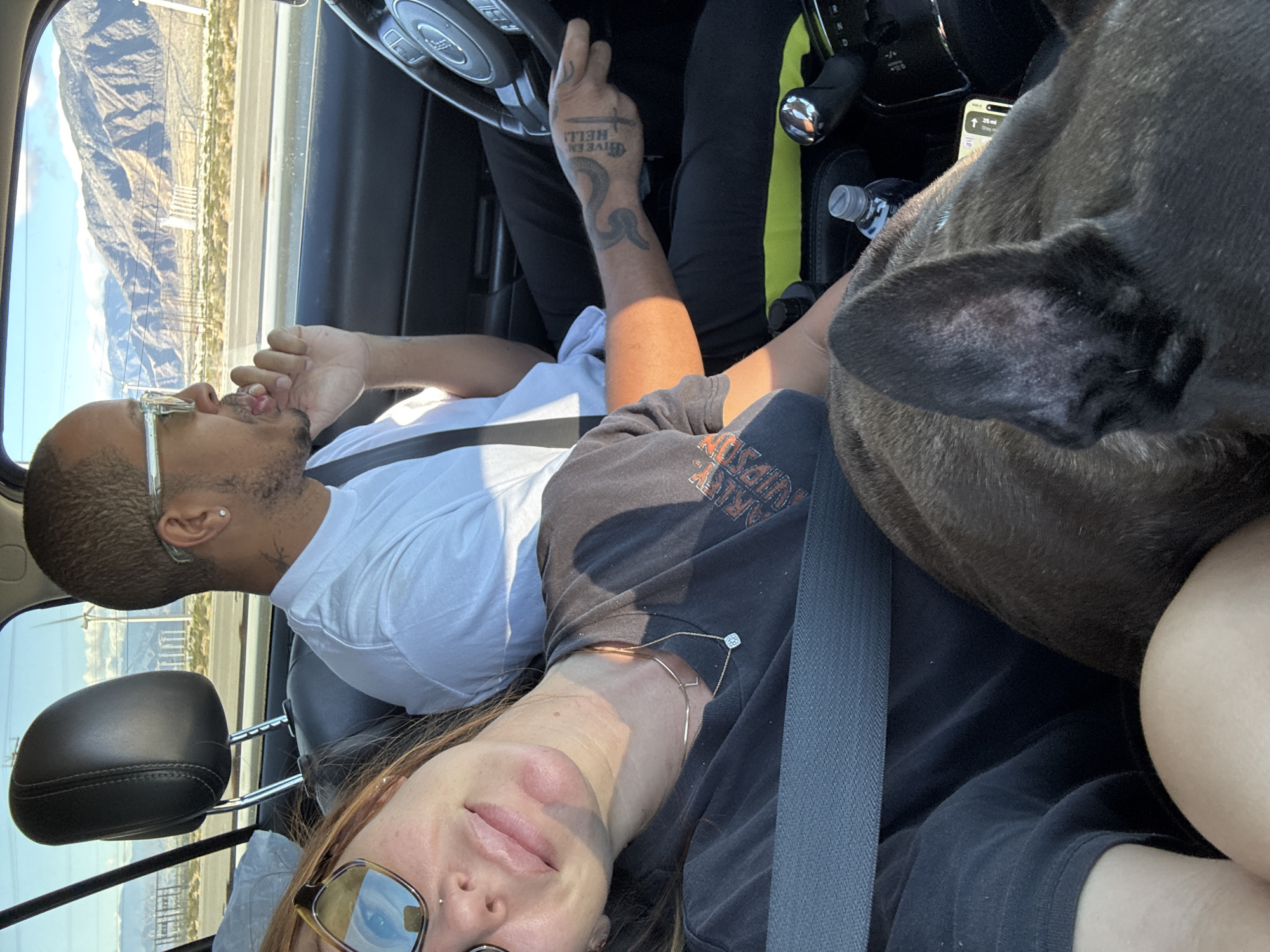 The image depicts a man, woman, and dog in a car. The woman is in the foreground wearing a dark t-shirt, sunglasses, and a seatbelt. A dog is partially visible, resting on her lap. The man is in the background, wearing a white t-shirt, glasses, and a seatbelt. He is in the passenger seat. The car is moving on a road next to buildings. Through the car windows, there is a view of mountains and an urban area. The navigation on a phone in the front of the car is showing "36 MI". Based on the view through the window, this could be along or near Washington Street in Palm Desert, California.