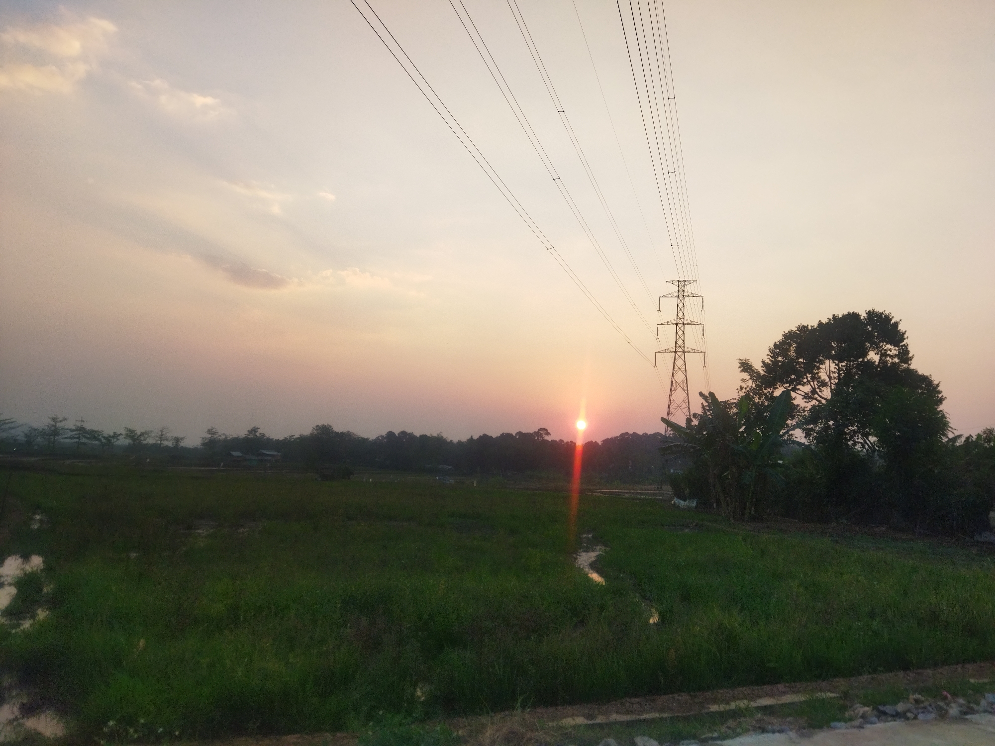 The image captures a rural landscape at sunset, likely in the outskirts of Semarang, Indonesia. A vast expanse of green grass, possibly a rice paddy, dominates the foreground and midground. Patches of water are visible in the grassy field, reflecting the soft, warm hues of the setting sun. In the distance, a dense line of trees forms the horizon, with hints of scattered structures nestled within them. A prominent transmission tower stands to the right of the frame, with power lines stretching diagonally across the sky, cutting through the pastel-colored clouds. The sun, a bright orb with a distinct red lens flare, is positioned slightly left of center, casting a warm glow over the scene. Lush tropical foliage, including banana trees, can be seen around the base of the transmission tower. The overall impression is one of natural beauty and the presence of infrastructure within a rural setting.