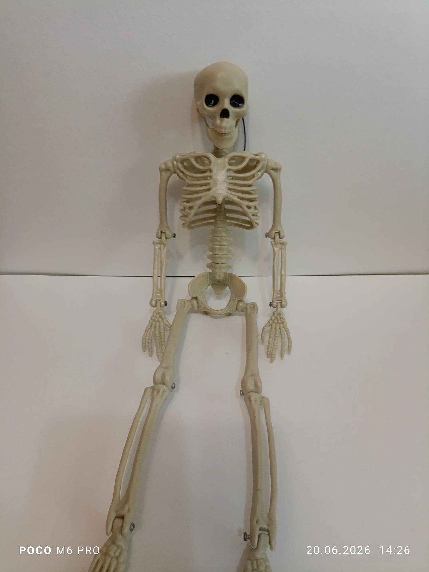 An artificial skeleton model is positioned upright against a white background. The skeleton is cream-colored and appears to be made of plastic, with articulated joints. Its head is tilted slightly forward, and its eyes are black sockets. The rib cage, spine, pelvis, arms, and legs are all visible. The skeleton's left leg is bent at the knee and hip, with the foot positioned forward. The right leg is similarly bent, with the foot pointing slightly outwards. The left arm is extended downwards, while the right arm is bent at the elbow and held across the body. The image includes a watermark in the bottom left corner reading "POCO M6 PRO" and a date and time stamp in the bottom right corner reading "20.06.2026 14:26". The scene is indoors, with a plain white wall as the backdrop. There is no indication of the location being in Bender, Moldova, or any specific city.