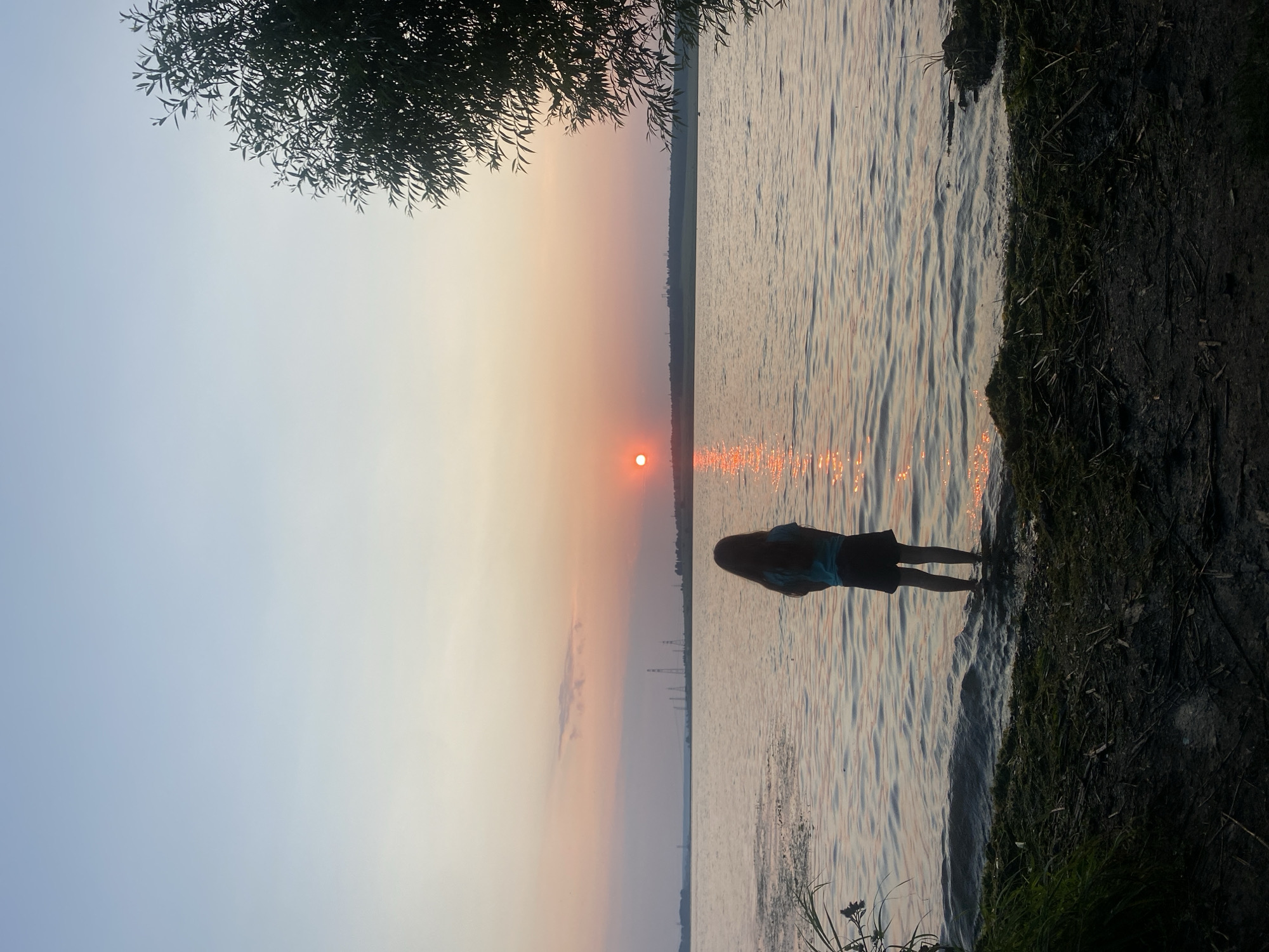 This image captures a serene sunset over a body of water, likely a lake or river, near Smolino, Russia. The sun, a vibrant orange orb, is positioned low on the horizon, casting a shimmering golden path across the rippling water. The sky transitions from a pale blue at the top to soft hues of pink and orange near the sunset, indicating a tranquil evening.
On the right bank of the water, a person is standing at the edge, partially silhouetted against the water. They are facing the sunset, with their long hair flowing. They are wearing a blue top and dark shorts. The ground beside them is covered in dark soil and sparse green grass, suggesting a natural, uncultivated embankment. Overhanging branches of a tree frame the top left of the image, adding a touch of nature's artistry to the scene. In the distance, faint outlines of power lines and a treeline are visible on the opposite shore, providing a subtle hint of human presence within the natural landscape.
The overall mood is peaceful and contemplative, evoking a sense of calm and appreciation for nature's beauty at the close of day. The gentle waves and the warm glow of the sunset contribute to a feeling of tranquility. There is no visible text in the image.