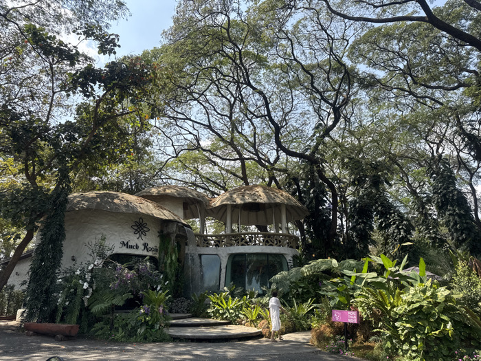 A whimsical, mushroom-shaped building nestled within a lush, overgrown garden is visible. The structure has multiple rounded roofs and a balcony-like area. A woman in white walks along a path in front, past a sign and dense foliage. Towering trees surround the building, their branches interlacing to create a canopy overhead. The overall atmosphere is enchanting and serene, with nature and architecture harmonizing.