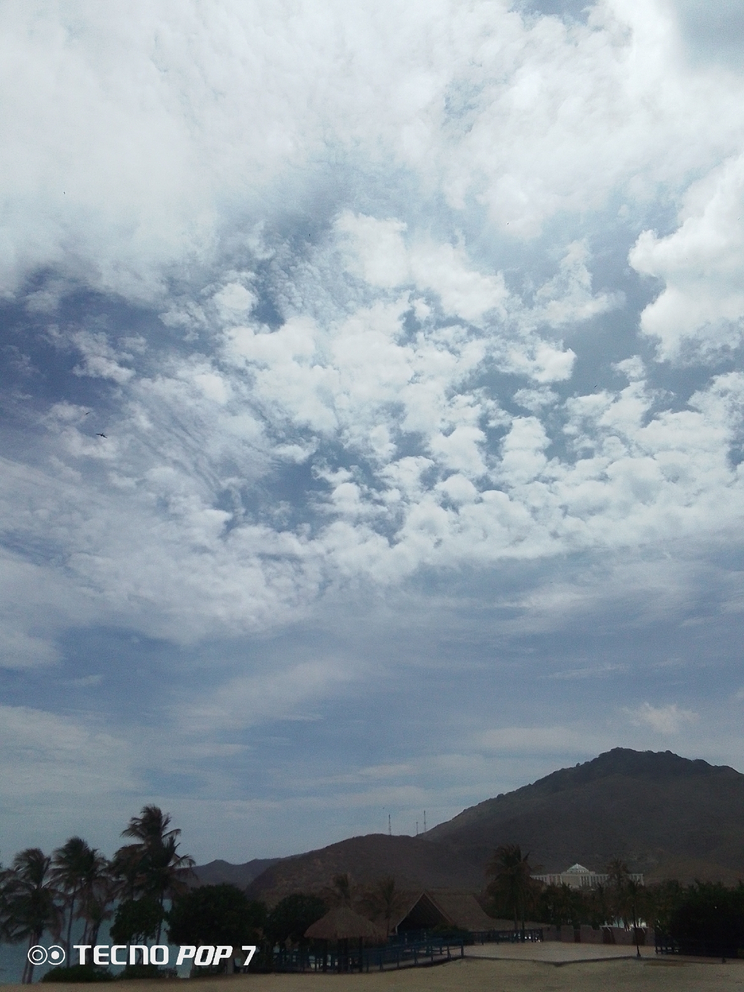 The image shows a daytime view in Pedro González, Venezuela, under a sky filled with cumulus clouds. A dark mountain range is visible in the middle ground, with a large, light-colored building partially obscured by trees and another smaller building on the right side. Palm trees are prominent in the foreground, along with several small, thatched-roof structures that appear to be beachside shelters. The foreground also includes a sandy beach area. A bird can be seen flying in the sky. The text "TECNOP POP 7" is visible at the bottom of the image.