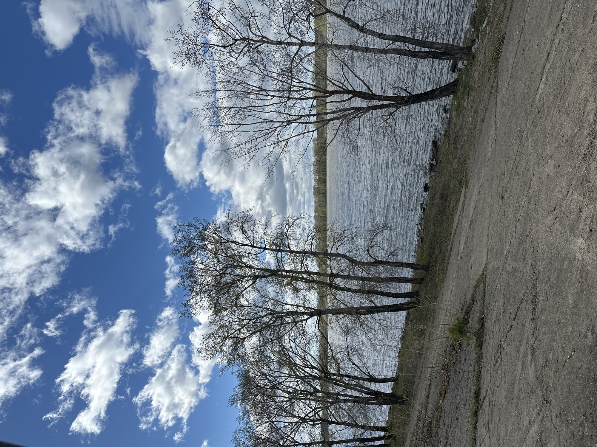 The image depicts a view in Chaikovsky, Russia, overlooking a body of water. The sky occupies the left side of the frame, displaying a blue expanse with scattered white clouds. A row of bare trees stands along the edge of the water, their branches creating a network against the sky. To the right, there is a grey concrete path or road running alongside the water. The water itself is grey with slight ripples visible. The angle of the image is tilted. There are no people visible.