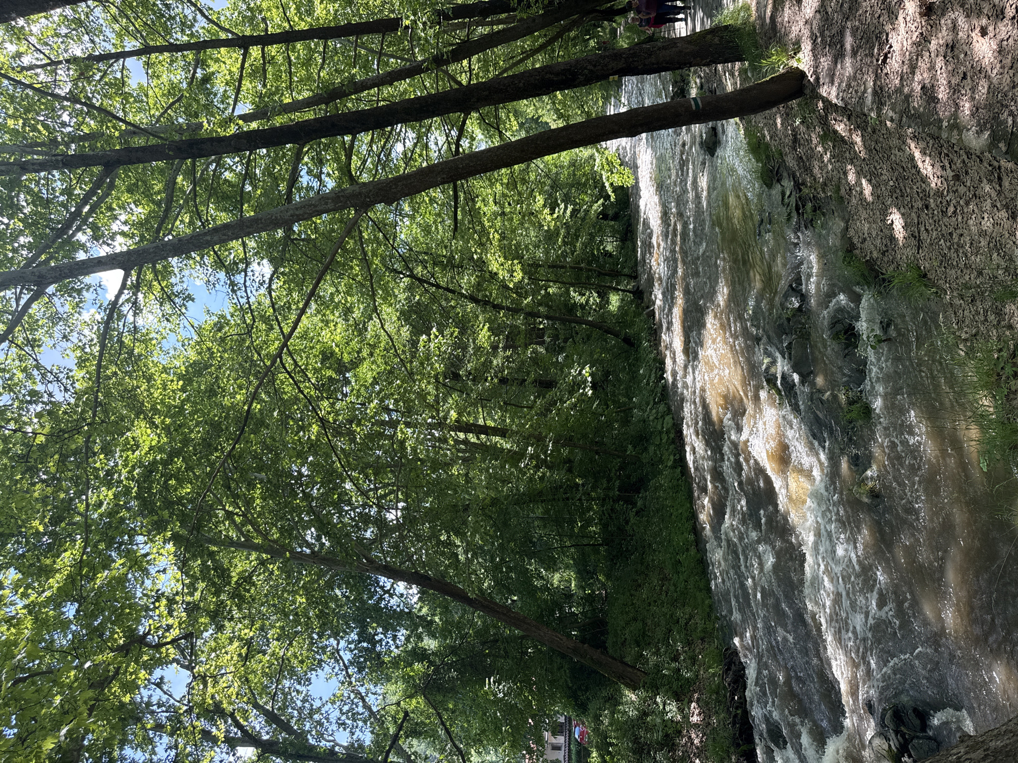 The image depicts a river flowing through a forest. Trees with green leaves line both sides of the river. The water appears to be moving rapidly, creating white water and reflections of sunlight. A path or bank is visible on one side, covered in leaves. A few people are visible in the upper right corner, seemingly walking along the path. The image appears to be taken from a low angle, looking upwards towards the trees. A building can be seen through the trees. The location is Unknown, Unknown.