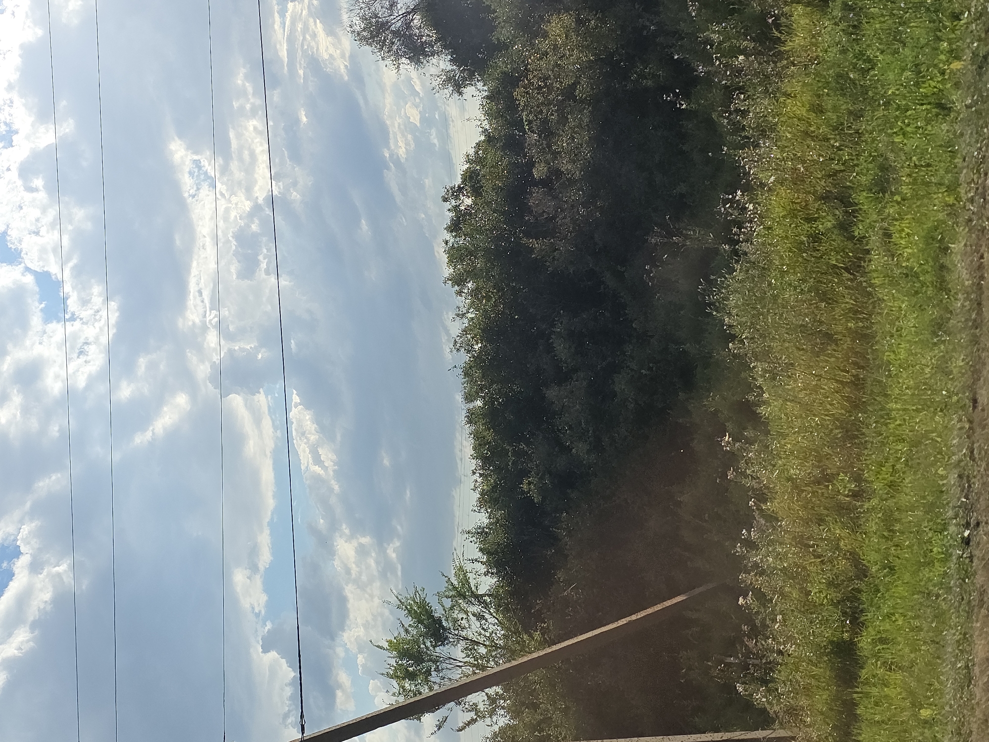 The image depicts a rural landscape under a cloudy sky. In the foreground, there is a patch of green grass with some scattered wild flowers and taller dry grass. A wooden pole, possibly a utility pole, is visible on the left side of the frame, leaning slightly. Behind the grass and pole, a dense line of green trees and bushes forms the midground. In the sky, there are several large, fluffy white and gray clouds against a light blue sky. Horizontal lines, likely power lines, are visible against the sky. The overall scene suggests an outdoor setting in a natural or semi-natural environment, likely outside of a developed urban area. The mention of Karsy, Russia, in the prompt provides a geographical context, suggesting this landscape is situated in or near that city.