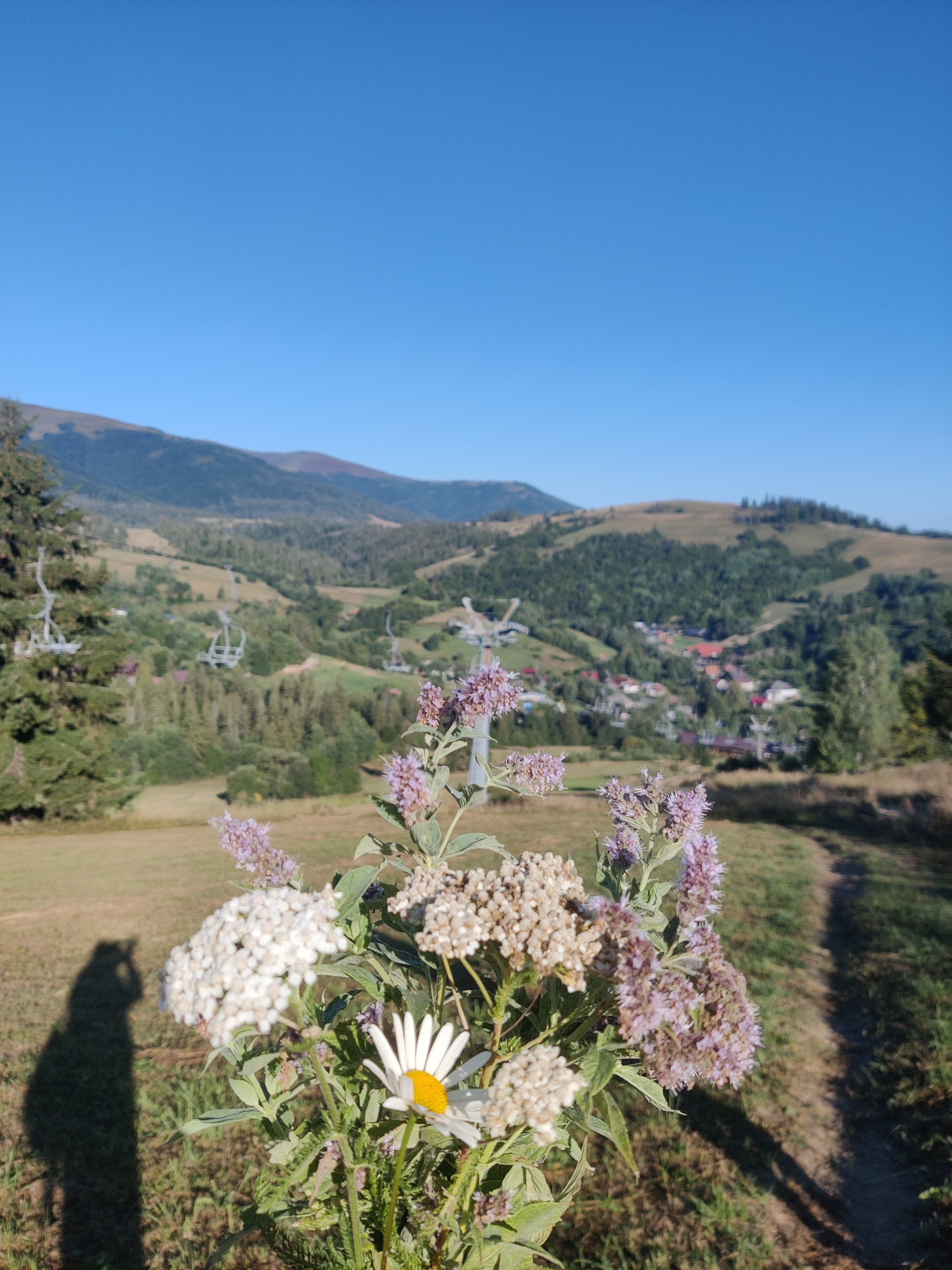 In Izky, Ukraine, a bouquet of wildflowers, including white yarrow and a daisy, is held in the foreground. A human shadow is cast to the left, suggesting a person is holding the flowers. In the background, rolling green hills dotted with trees and a village are visible. Ski lifts traverse the landscape, indicating a mountainous or resort area. The sky is a clear, bright blue.
