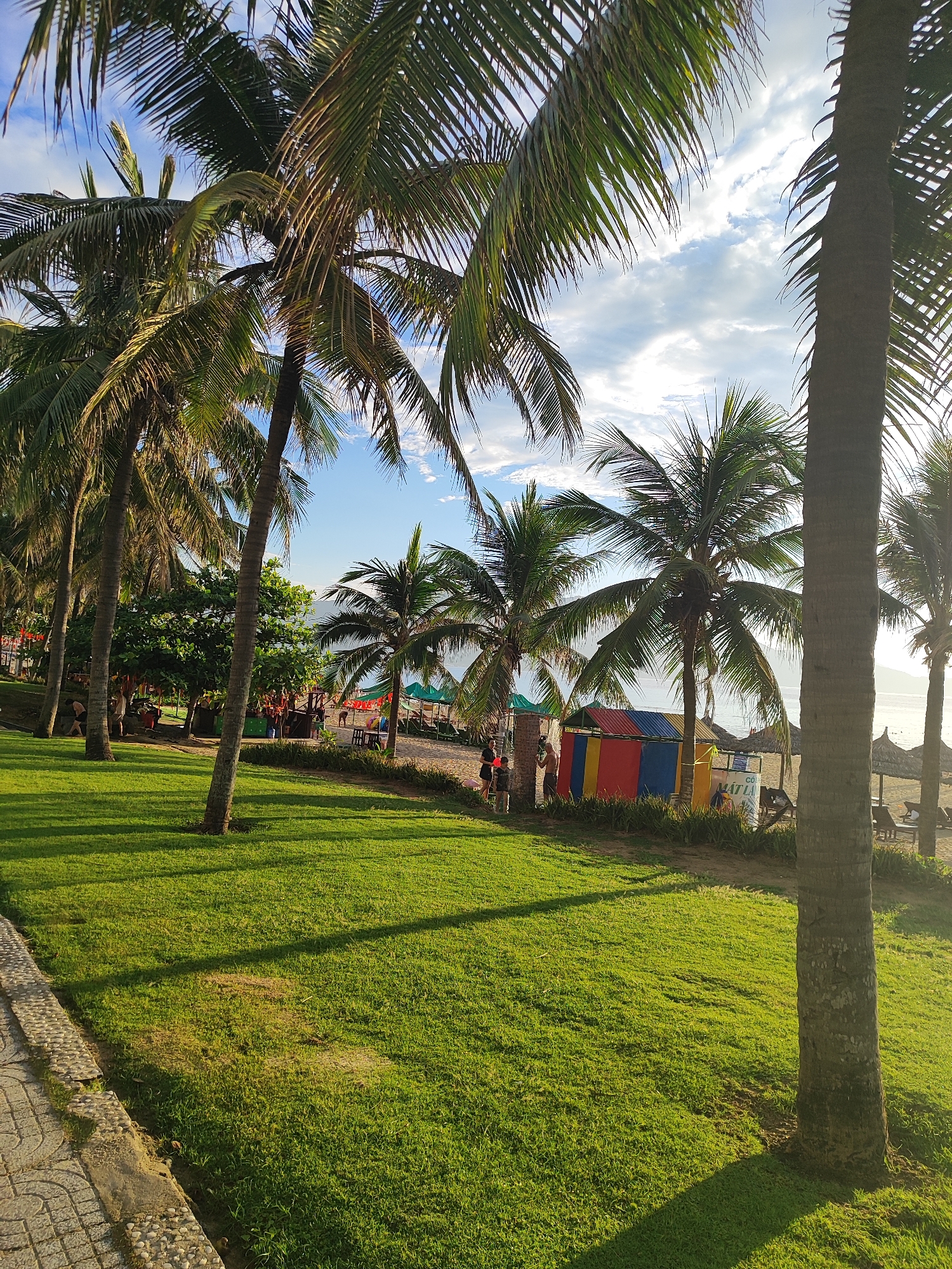 This image captures a coastal scene in Đà Nẵng, Vietnam, under a partly cloudy sky with a low sun angle creating long shadows.
In the foreground, a textured walking path composed of grey tiles and embedded pebbles runs along the left edge, bordering a vibrant green, manicured lawn. The lawn displays prominent, elongated shadows cast by multiple palm trees.
The midground is dominated by a dense line of tall palm trees with green to light brown fronds, extending from the left to the right side of the frame. Sunlight filters through and illuminates their fronds. Beyond the lawn and trees, a sandy beach is visible. A small, multi-paneled structure, colored red, yellow, and blue, stands on the beach near the grassy area. Adjacent to this structure, a partially obscured sign displays Vietnamese text including "CÓ" and "HẬT LA". Several individuals are present: multiple people are standing near the colorful structure, with one shirtless male clearly visible; others are dispersed further along the beach, some seated on lounge chairs under thatched umbrellas. A few individuals are also observed in the ocean water near the shore.
The background features the calm, reflective surface of the ocean. A distant, hazy mountainous landmass or coastline is visible on the horizon. The sky is light blue with scattered white clouds, some appearing wispy and backlit by the sun.