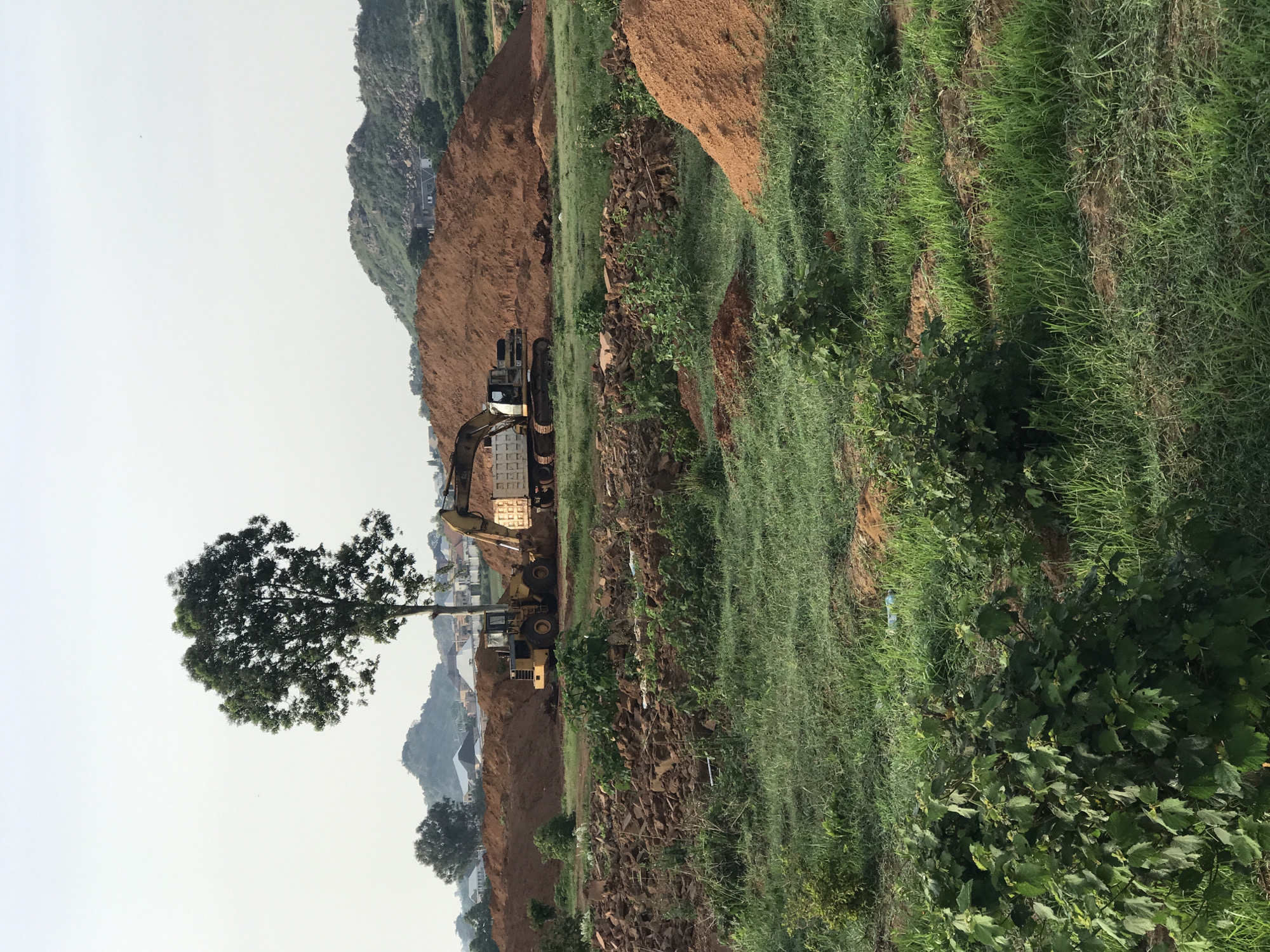 This image depicts a construction site in Jos, Nigeria. In the mid-ground, a large tree stands tall against a backdrop of hazy, mountainous terrain and a clear sky. Two heavy machinery vehicles, a yellow front-end loader and a larger excavator, are actively engaged in earthmoving operations. The excavator appears to be loading a dump truck with sand or dirt. The ground is uneven, with large piles of reddish-brown soil dominating the landscape. Patches of green grass and low-lying vegetation are interspersed with debris, suggesting ongoing excavation and construction work. In the background, residential buildings with modern architecture can be seen nestled among the hills, indicating the site is likely on the outskirts of a developed area. The overall scene captures a moment of industrial activity within a natural setting.