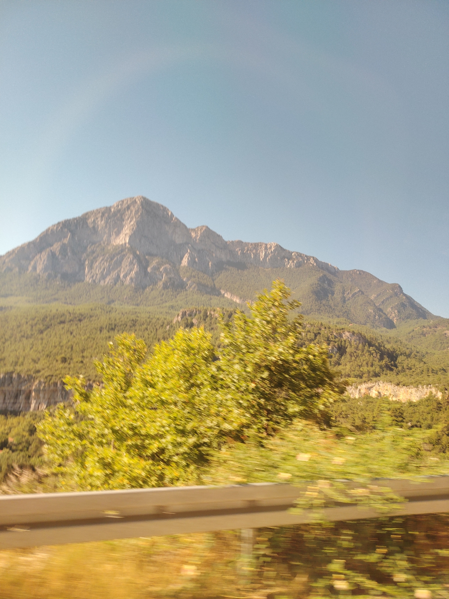 The image depicts a mountainous landscape with lush green vegetation in the foreground and a clear blue sky overhead. The mountains are covered in dense forests, with rugged, rocky peaks. In the foreground, there is a blurry section of trees and vegetation, suggesting movement, likely from a vehicle. A metal guardrail runs horizontally across the bottom of the image, further indicating that the photo was taken from a moving vehicle. The scene is bright and appears to be set during daylight hours. The location is identified as Konyaaltı, Turkey.