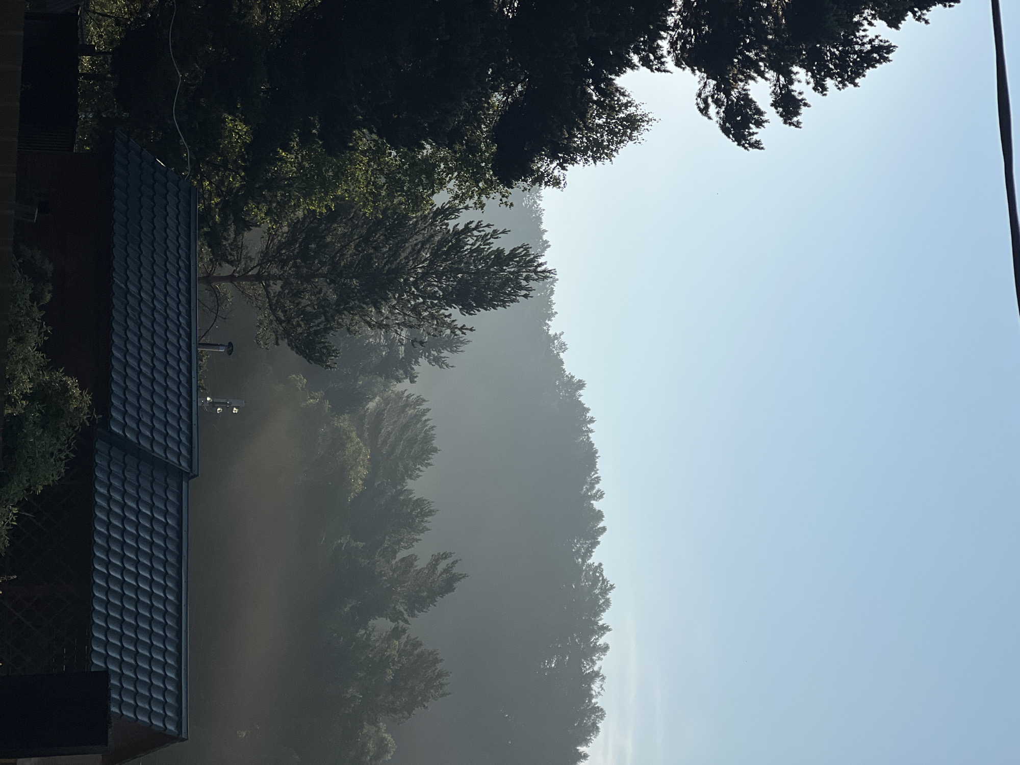 The image shows a view of a house and a forest in Angarskie Khutora, Russia. The house has a dark, textured roof and is partially obscured by trees. A chimney is visible on the roof. The forest is dense and appears to be on a hillside, with mist or fog obscuring the background. Sunlight is filtering through the trees in some areas, creating beams of light. The sky is clear and light blue. There are no people or animals visible in the image. The overall scene suggests a tranquil, early morning or late evening setting in a rural environment.