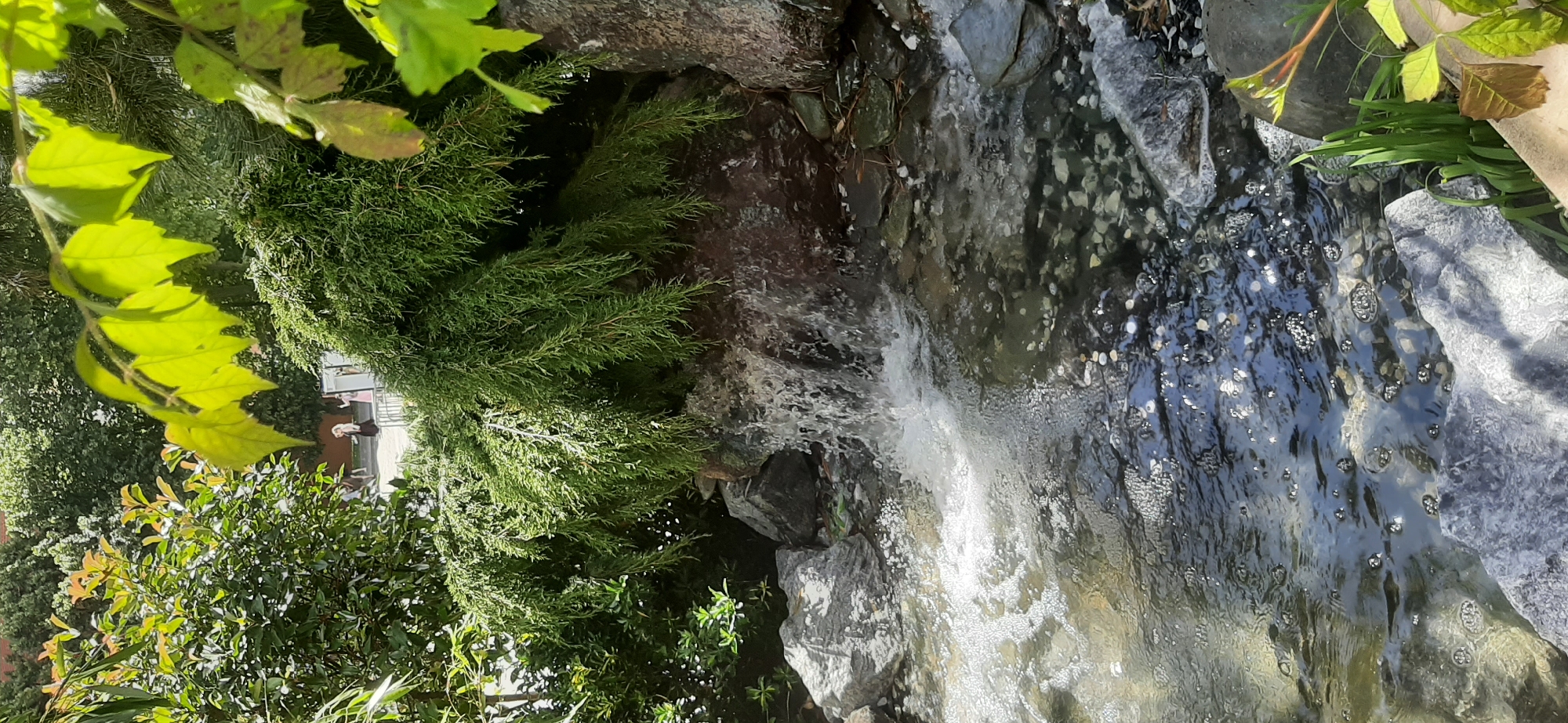 The image depicts a serene natural scene featuring a small waterfall cascading into a stream. The water is clear, with pebbles visible on the streambed and light glinting off the surface, creating a dynamic play of reflections. Surrounding the stream are rocks of various sizes and textures, some smooth and rounded, others rough and angular. Lush green foliage, including the drooping branches of a conifer and other leafy plants, frames the waterfall and stream. In the background, through the greenery, glimpses of people can be seen walking on a paved area, suggesting an urban park or garden setting. The overall impression is one of tranquility and natural beauty within an otherwise developed environment.