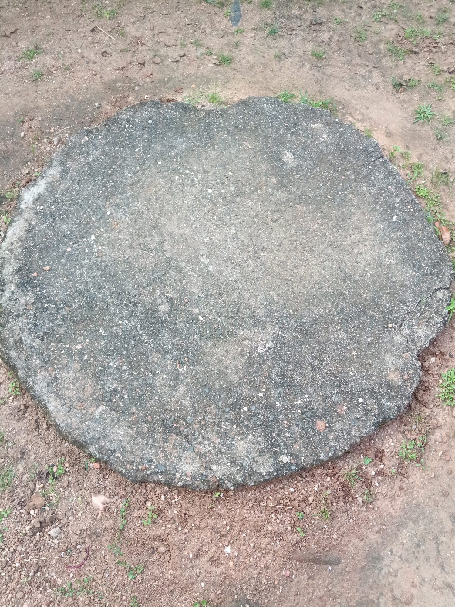 A circular concrete slab, approximately 1 meter in diameter, is situated on the ground in Dhanwar, India. The slab is rough and grey, with visible aggregate. It is surrounded by reddish-brown soil and sparse green vegetation. The slab appears to be a stepping stone or a decorative element in an outdoor setting. The lighting suggests it is daytime, possibly overcast, as there are no strong shadows.
